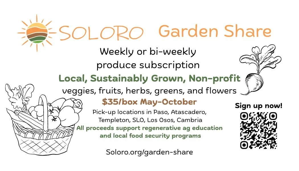 Soloro