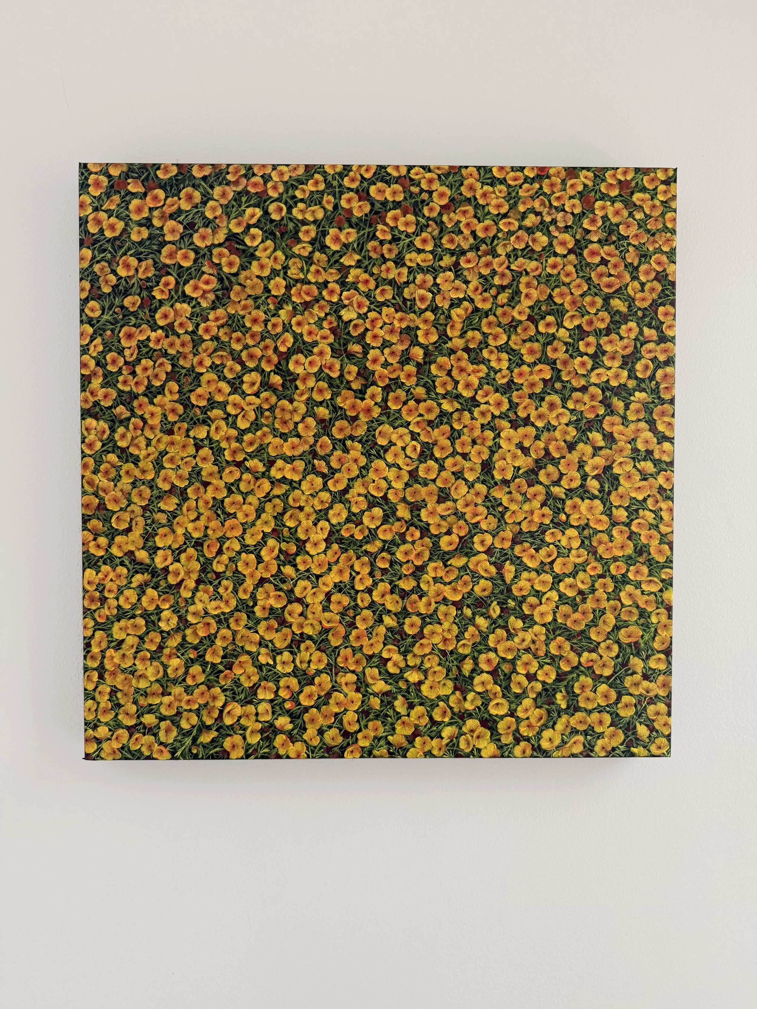 "Cups of Gold"