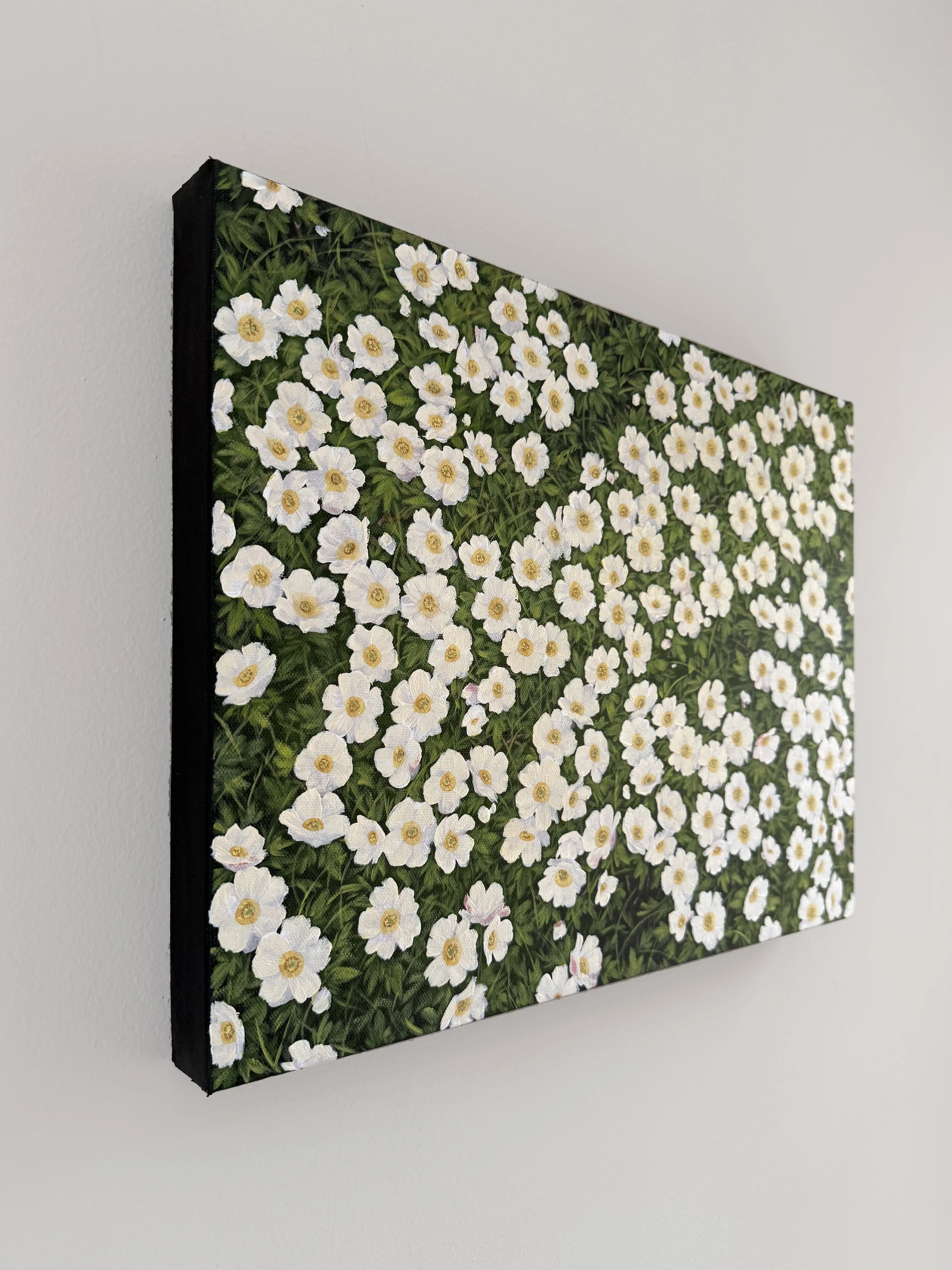 ContinuetoBloom_03.jpg