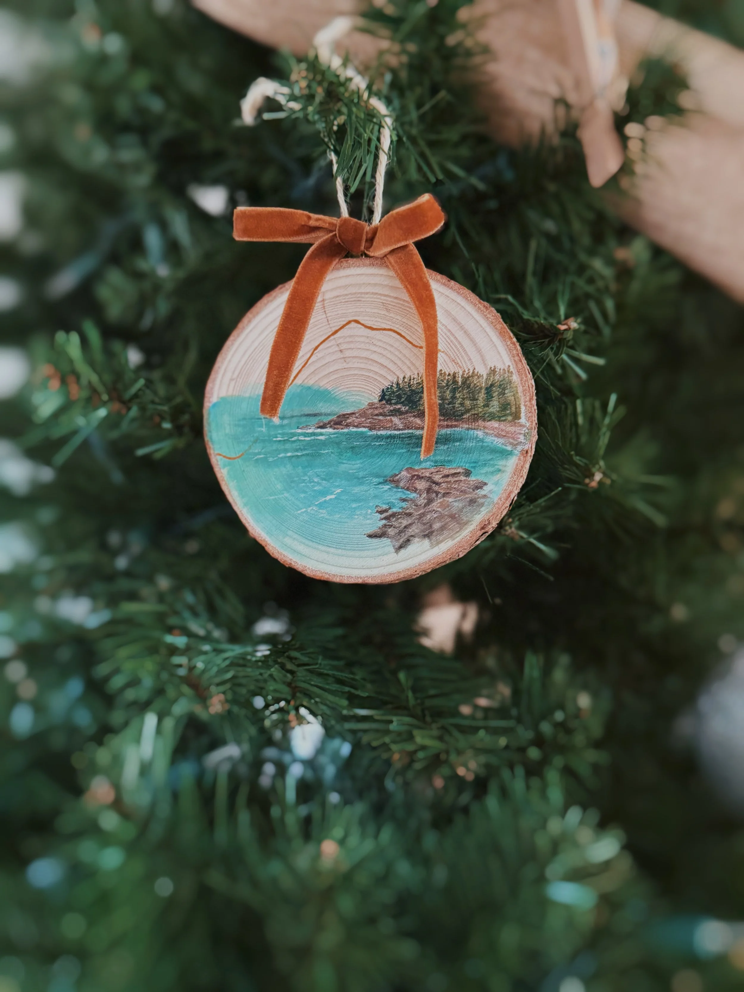 FullSizeRender_VSCO 13.JPG