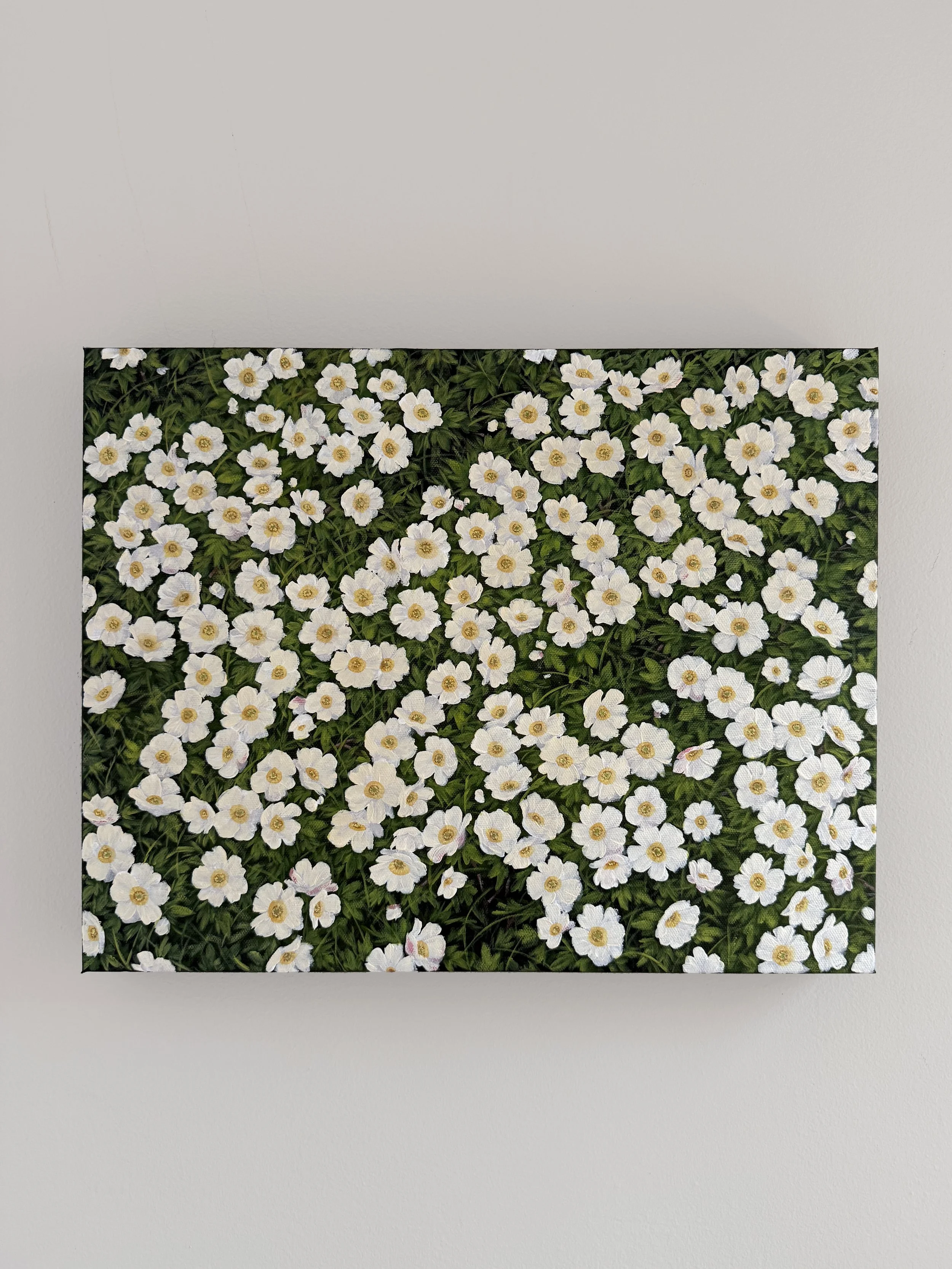 "And We Continue To Bloom"