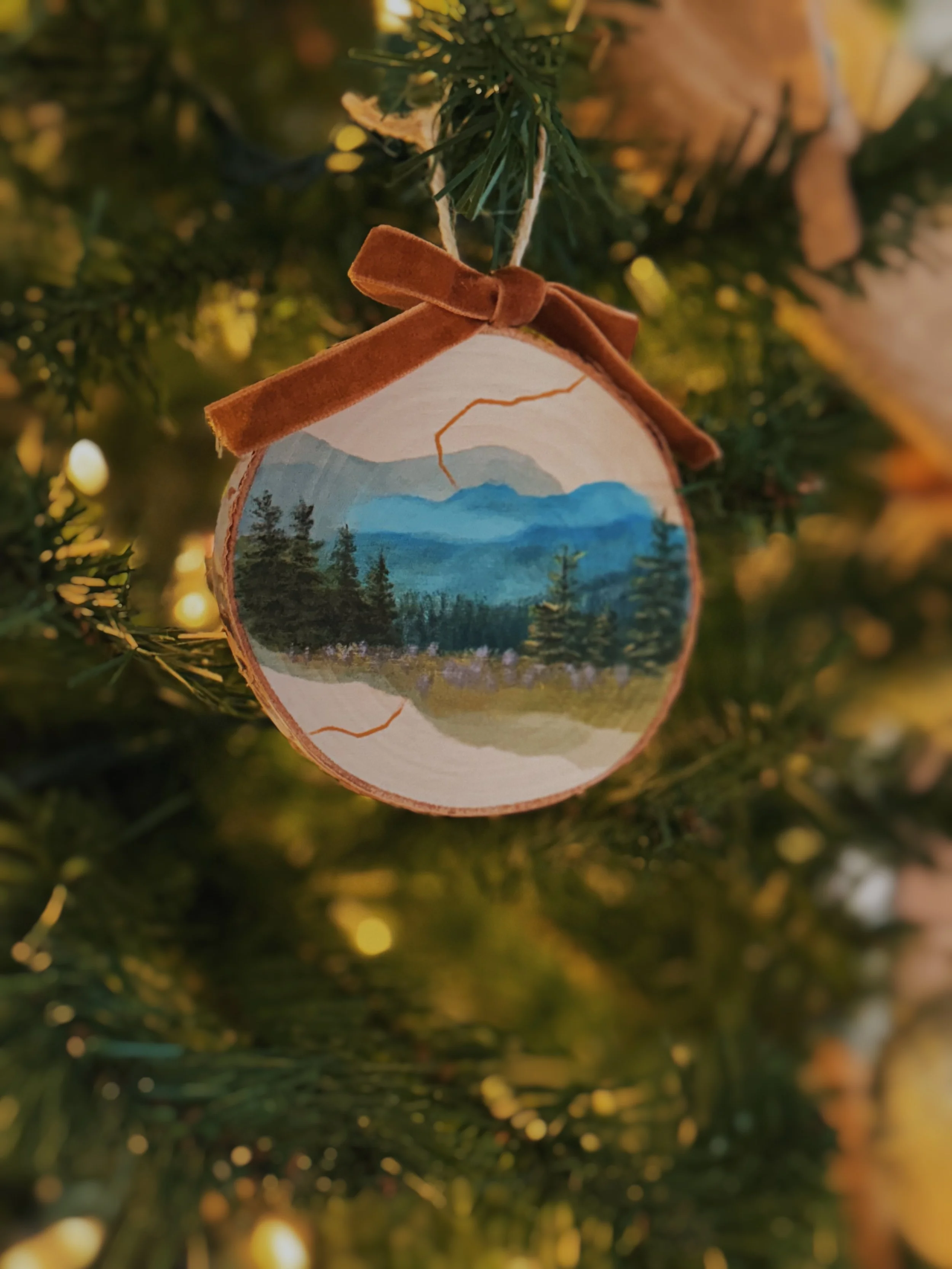 Olympic National Park