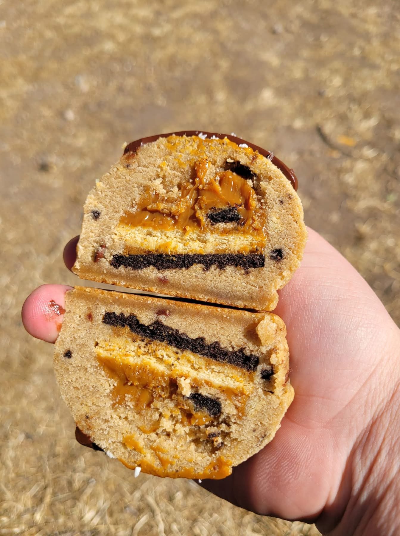 Post Malone Cookie (Chocolate Chip Cookie Modification)
By: Dakota Delights