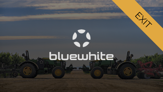 BLUEWHITE