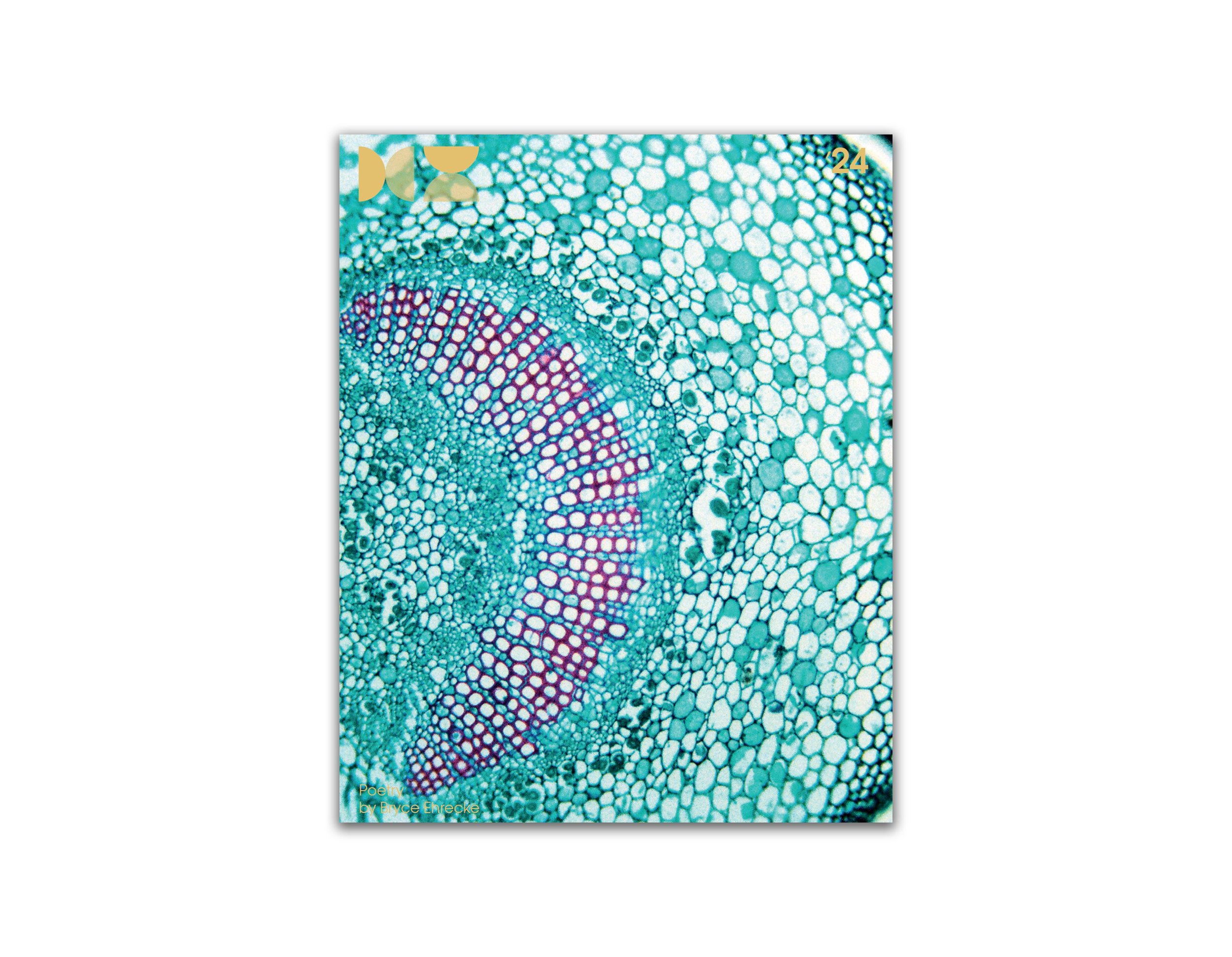 Book Dust Cover 2 on White Background Back.jpg