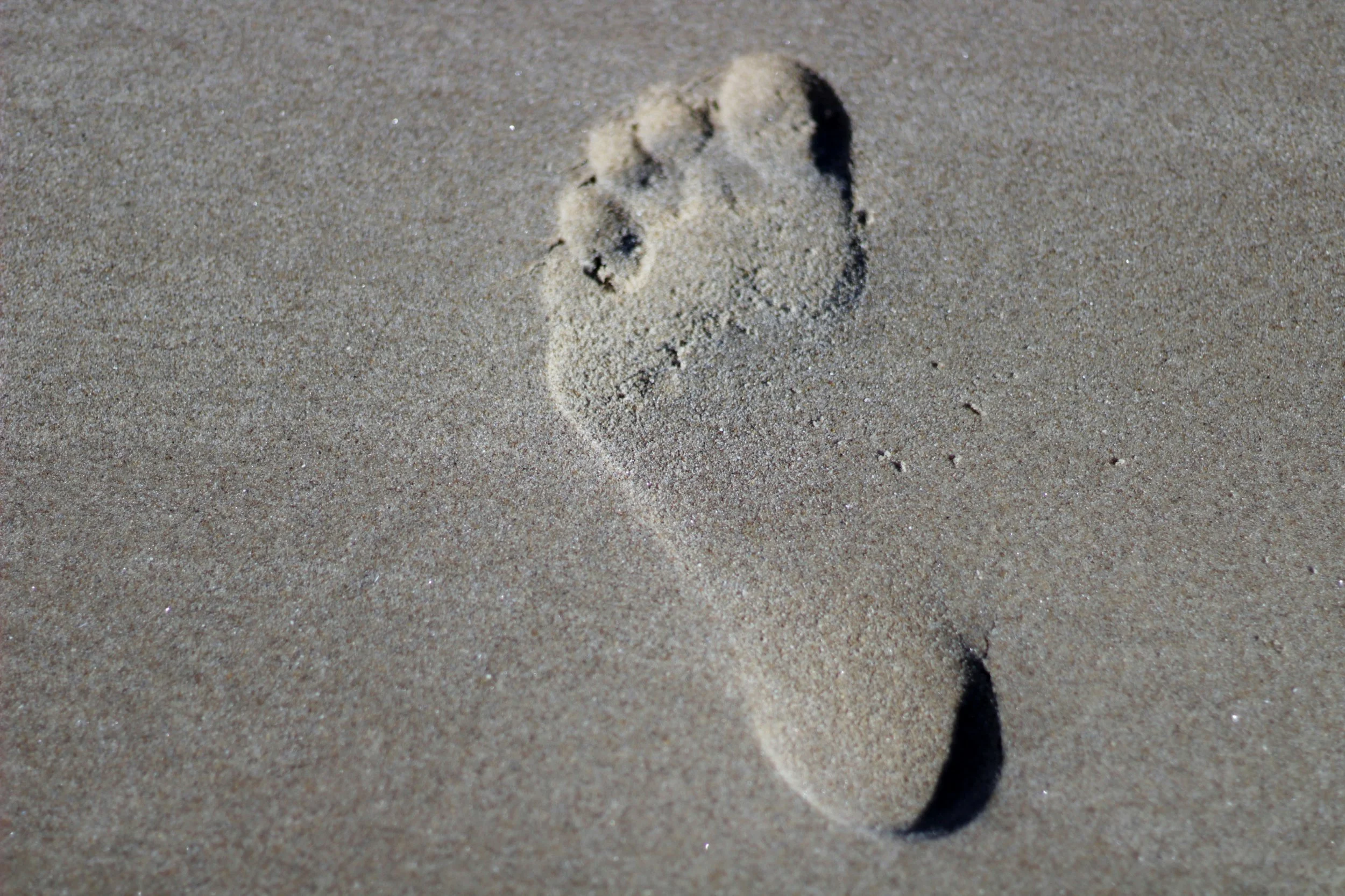 Best Barefoot Shoes for Wide Feet (2026 Guide)