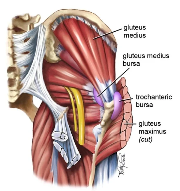 Lateral Hip Pain In Runners Gluteal Tendinopathy Overview The Injury 