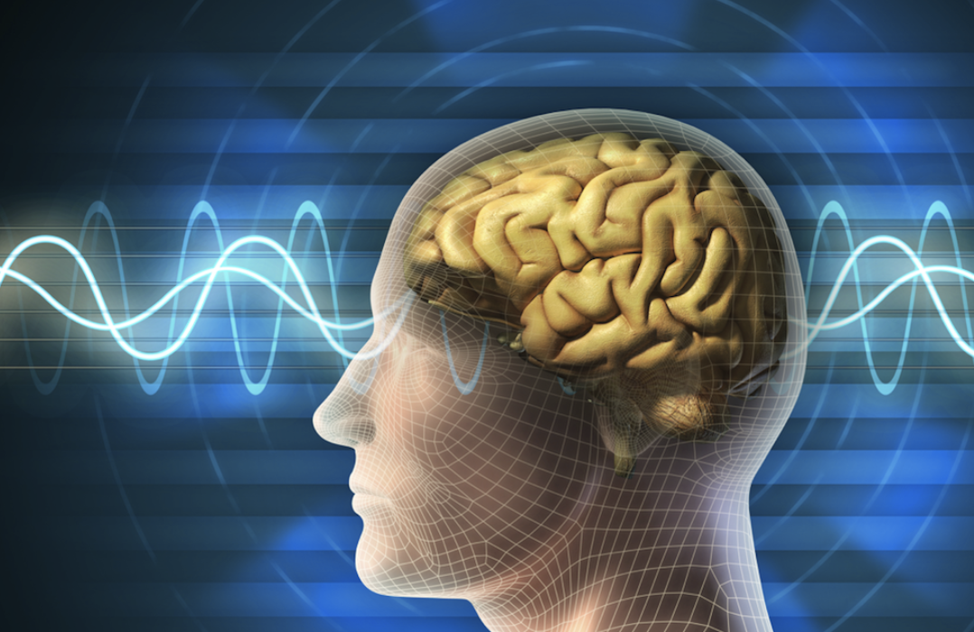 The Power of Sleep - Lesson 1 - The Science of Sleep: NREM and REM