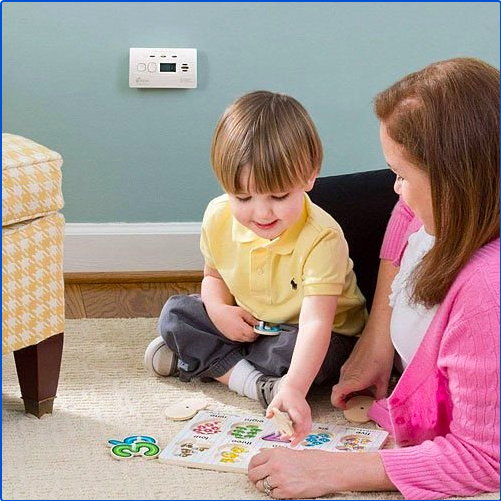 Carbon Monoxide Detectors 101