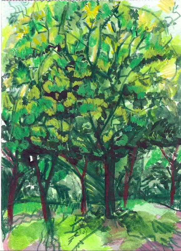 Fig 16.  Watercolor on Paper, 5" x 8"