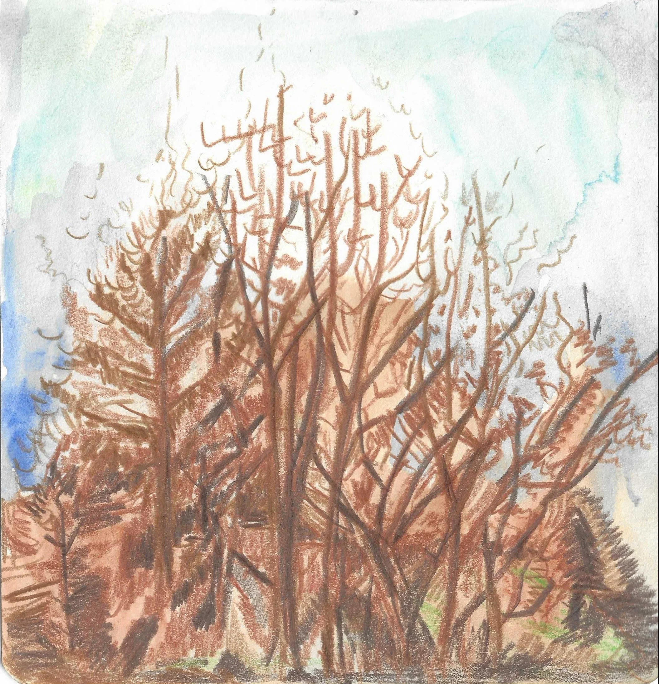Fig 29.  Watercolor on Paper, 5" x 5"