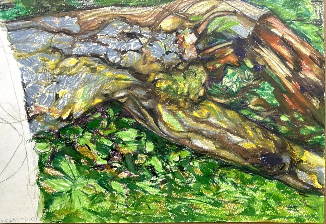 Fig 31.  Watercolor on Paper, 12" x 8"