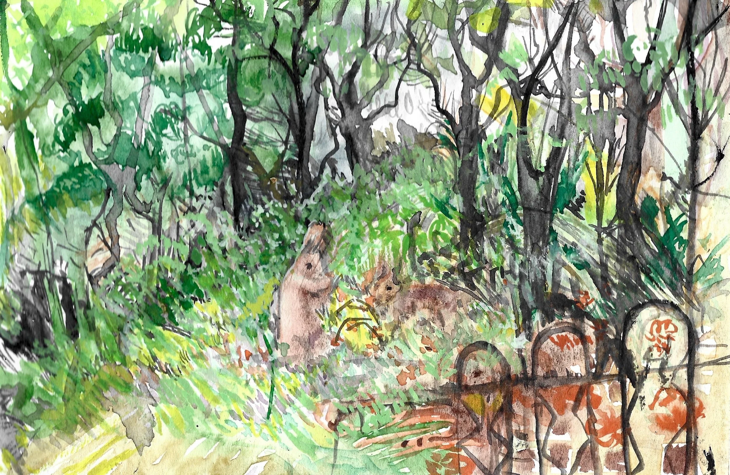 Backyard2_5.jpg