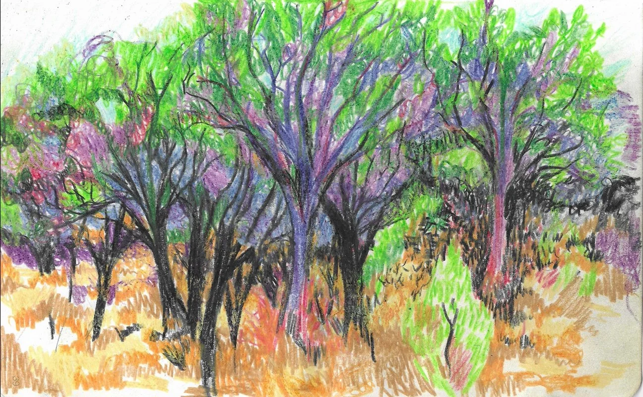 Fig 20.  Watercolor on Paper, 5" x 8"
