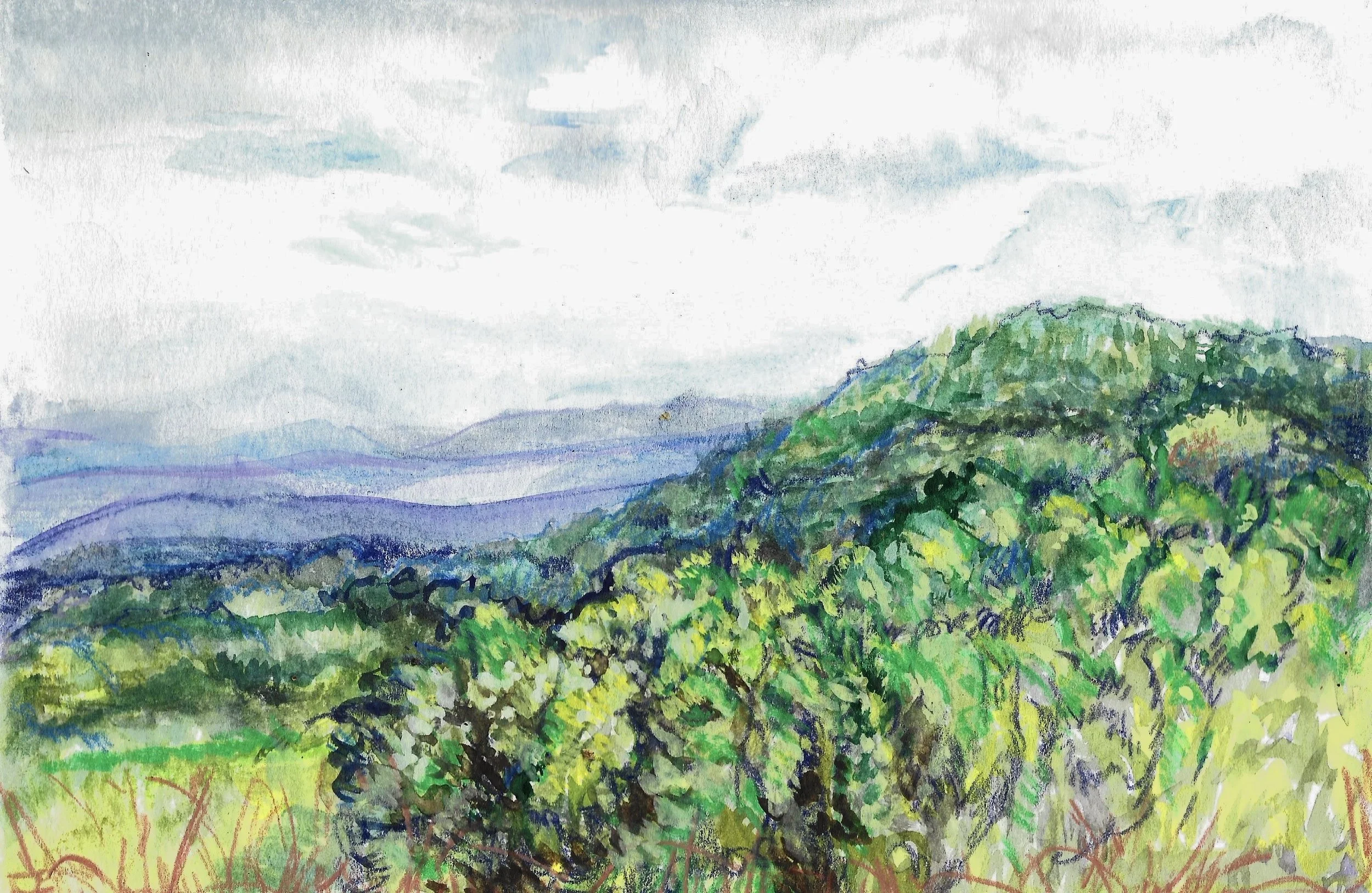 Fig 51.  Watercolor on Paper, 5" x 8"