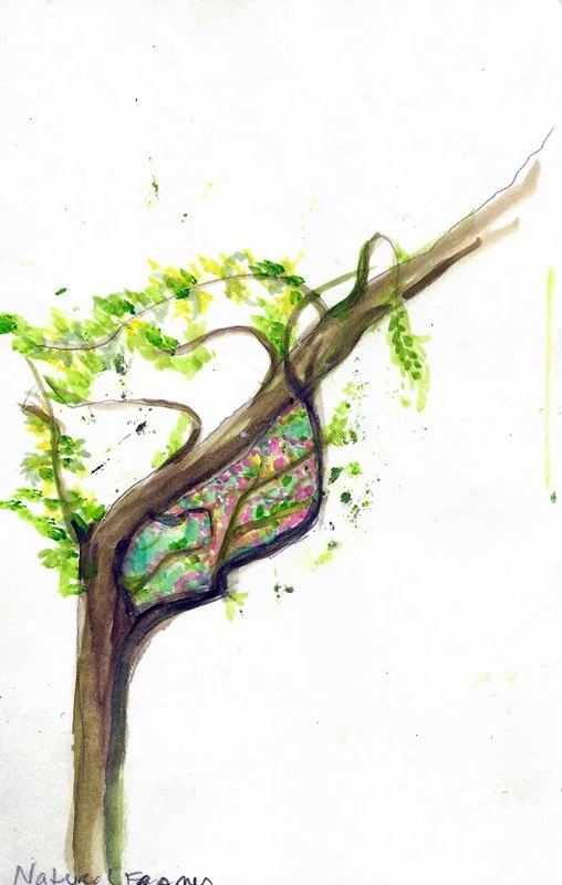 Fig10_Hinebrook.jpg