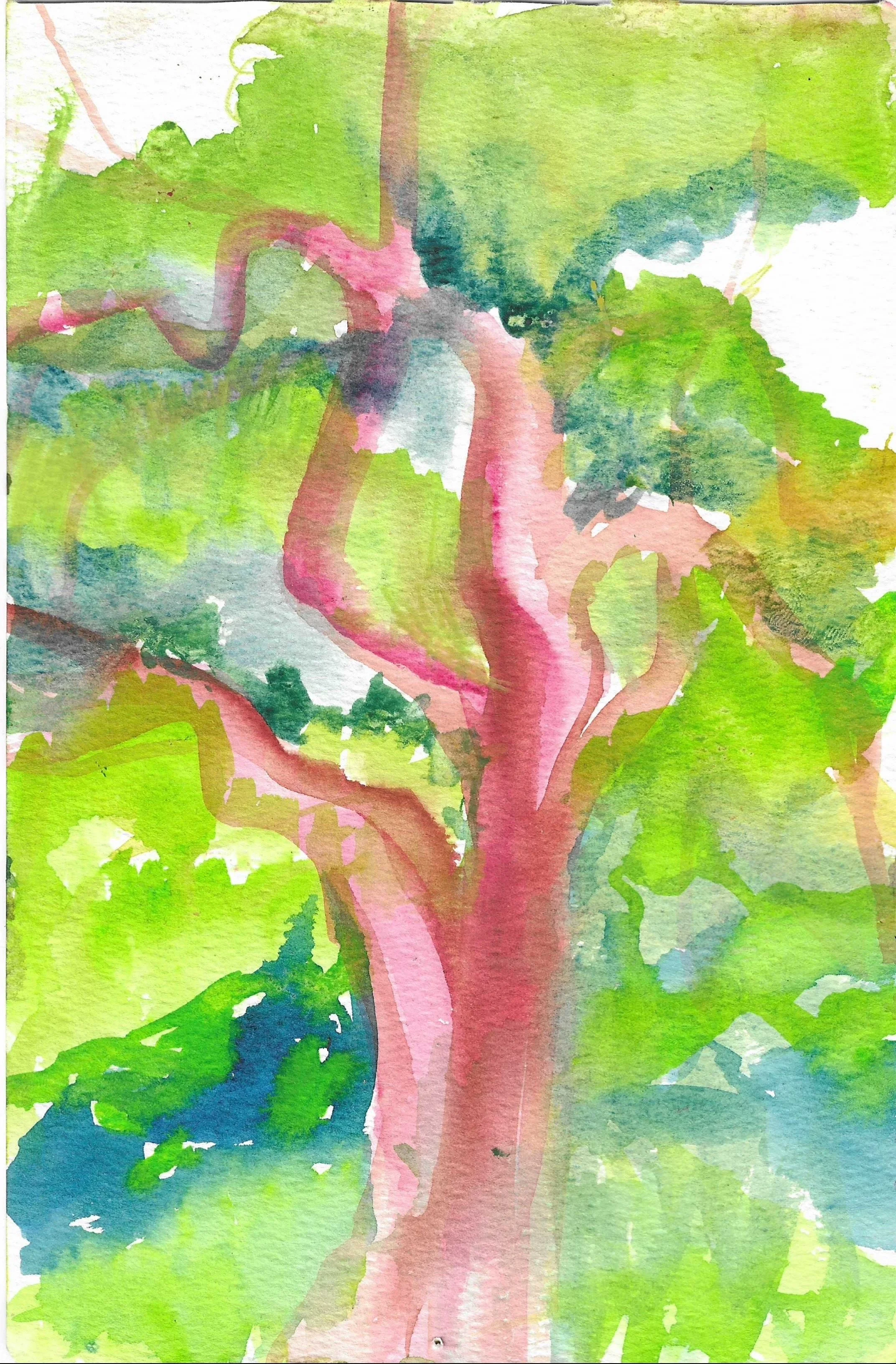Fig 49.  Watercolor on Paper, 5" x 8"