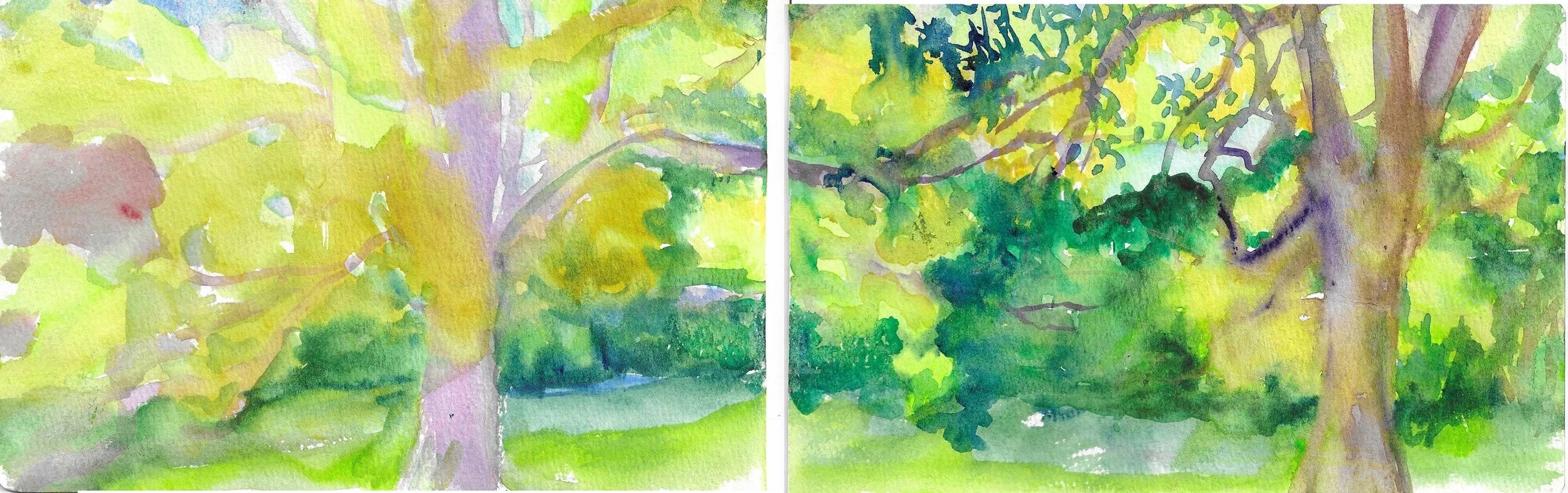 Fig 6. Watercolor on Paper, 5" x 16"