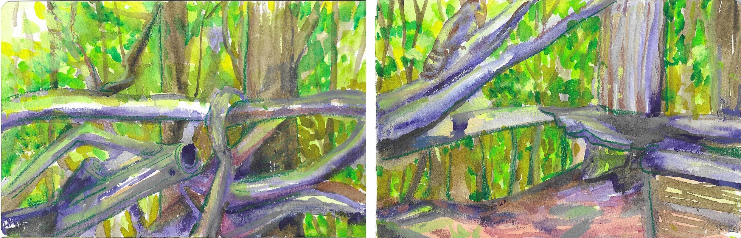 Fig 5 Watercolor on Paper, 5" x 16"