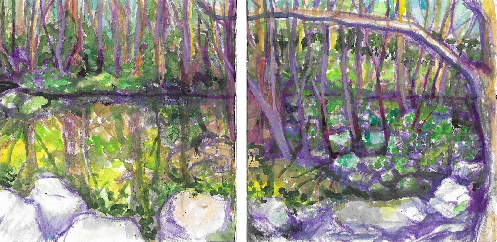 Fig 50. Watercolor on Paper, 5" x 11"