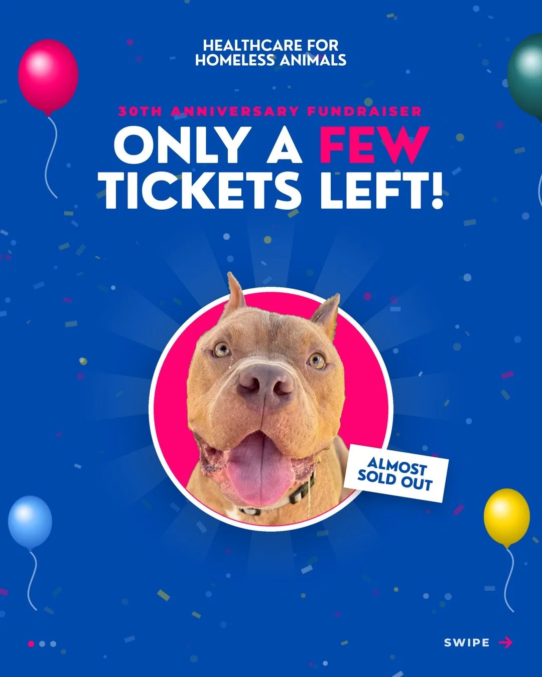 Only a few tickets left for our 30th Anniversary Fundraiser! 🎉

Sunday, September 27
11 AM to 2 PM
Westlake Yacht Club, Westlake Village

Brunch, a silent auction, raffles, live music, the &ldquo;30 Dogs for 30 Years&rdquo; fashion show, and a whole