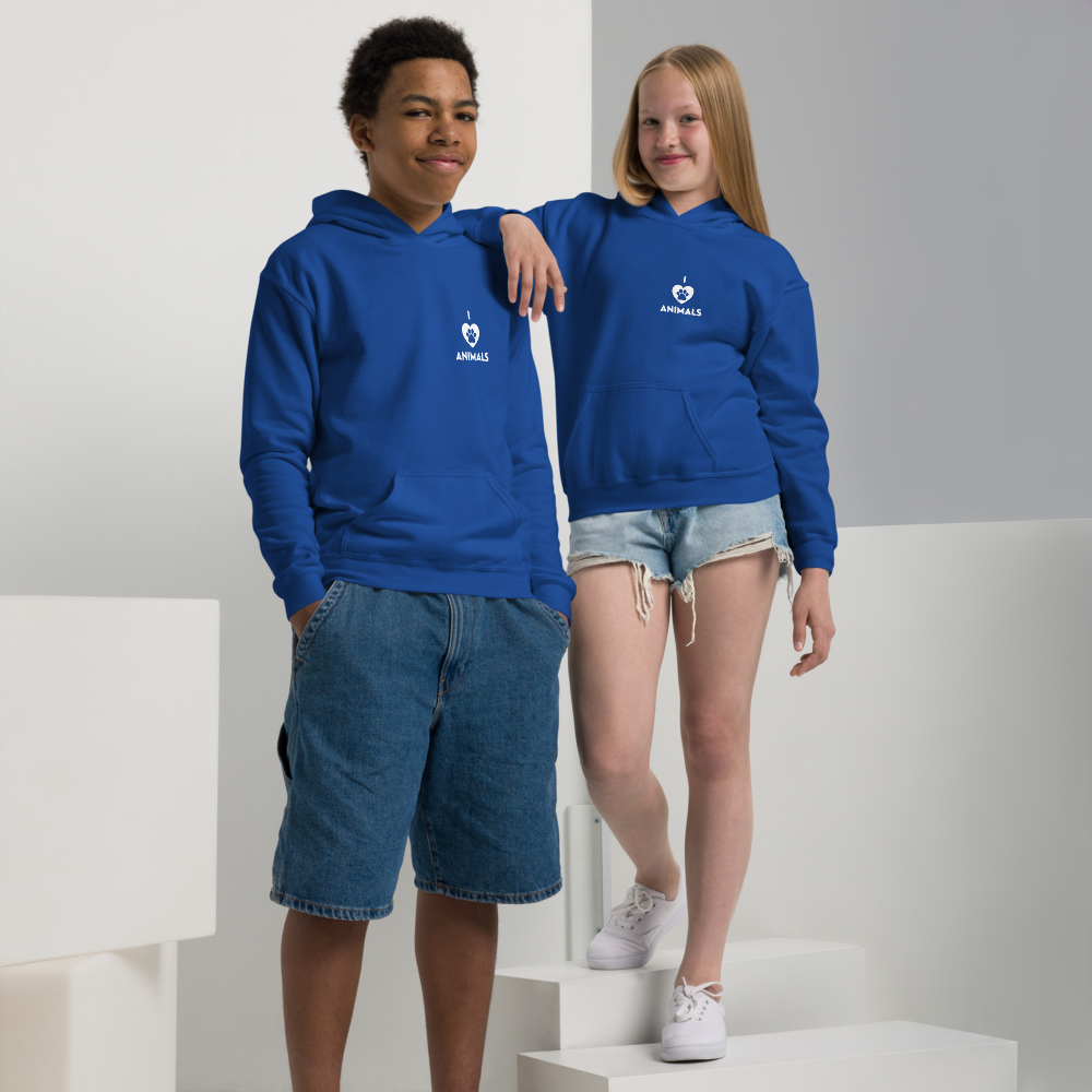 youth-heavy-blend-hoodie-royal-front-6867149894ef1.png