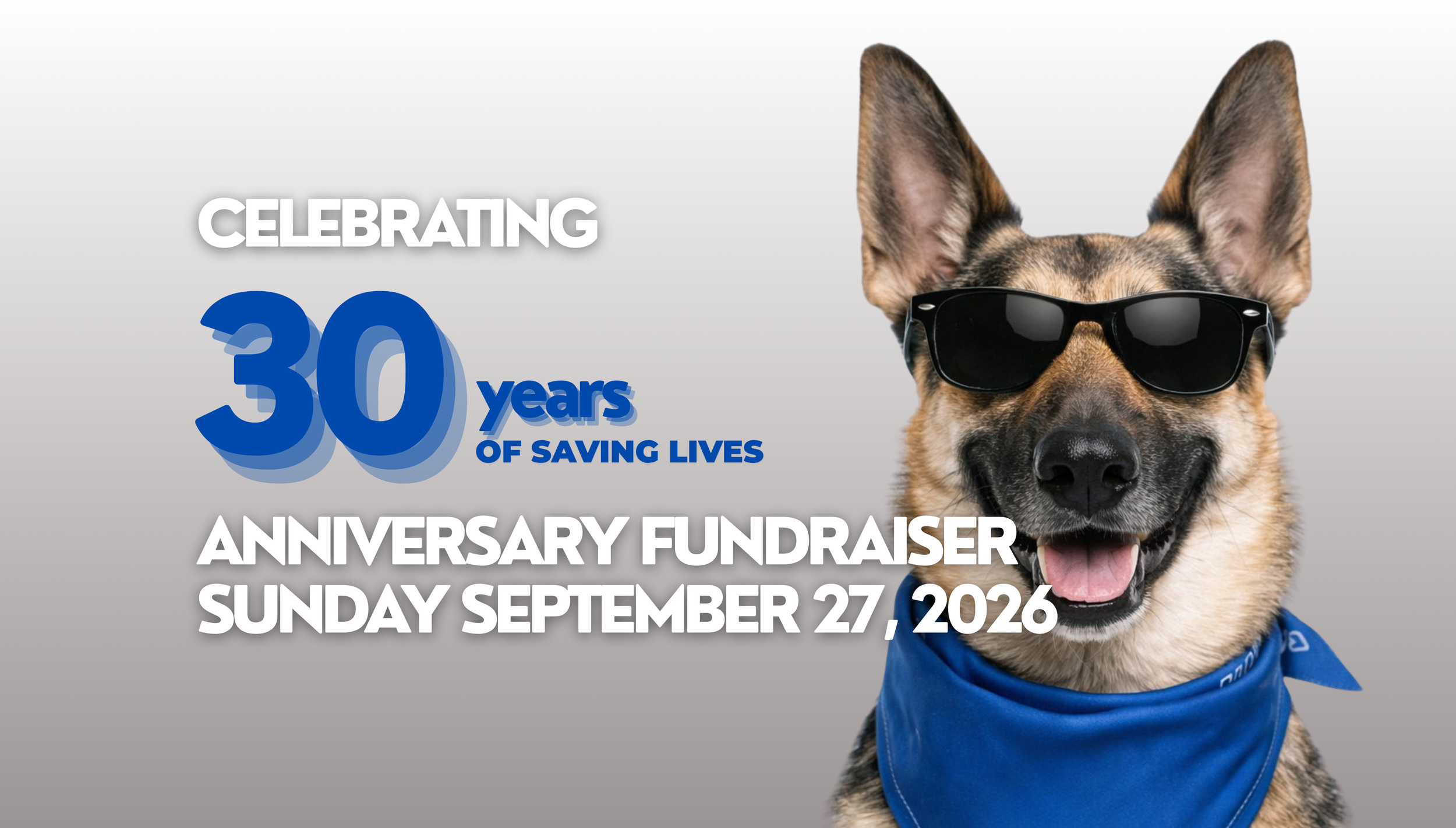 Healthcare For Homeless Animals