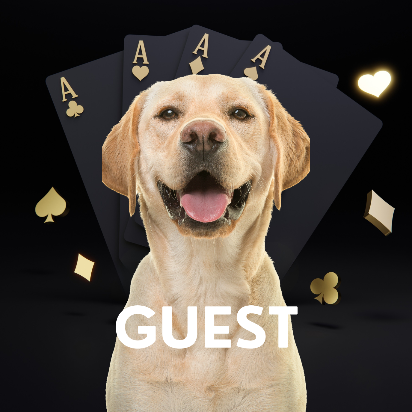 GUEST (2).png