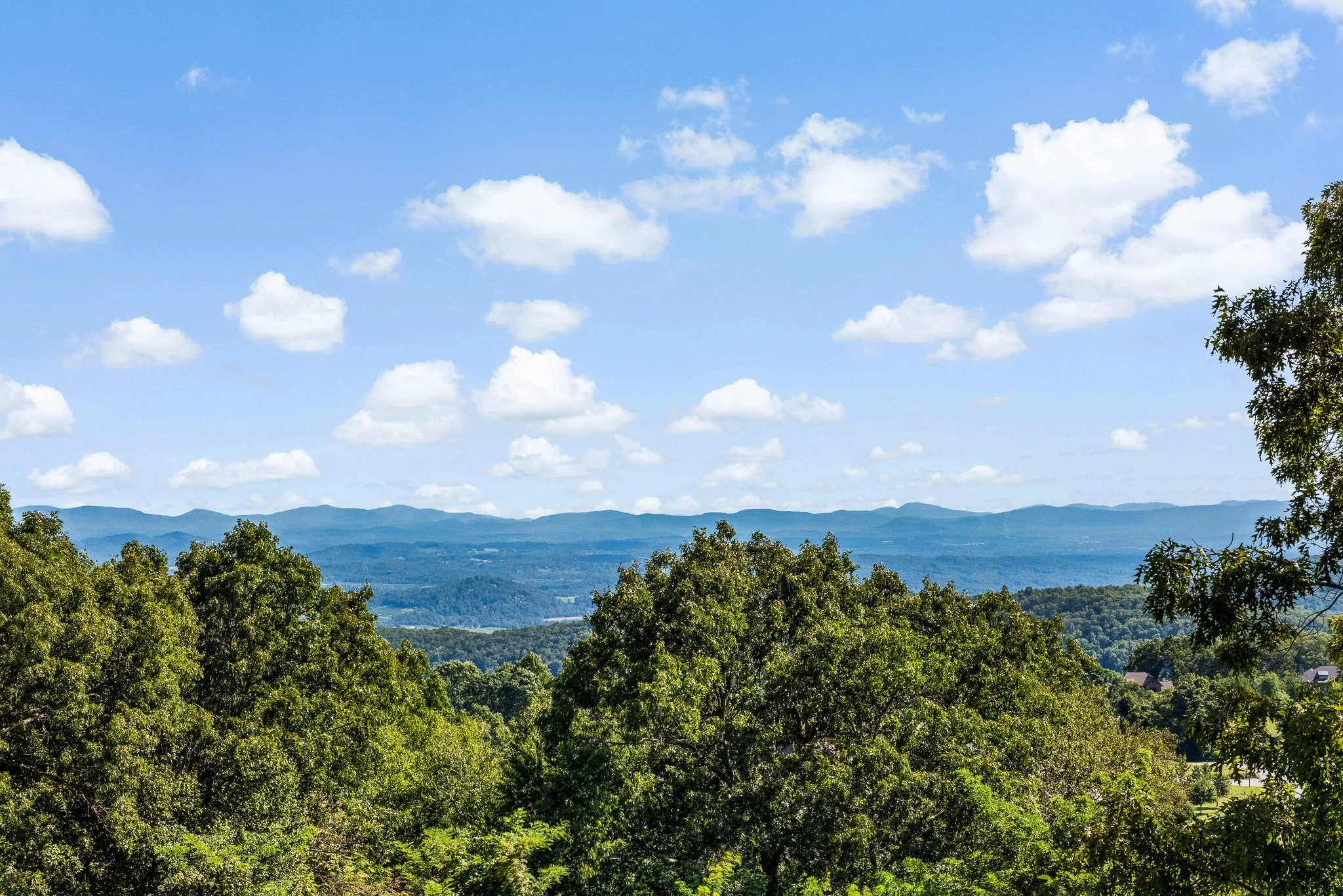 320 Summerset Dr-print-009-029-View-4200x2804-300dpi.jpg