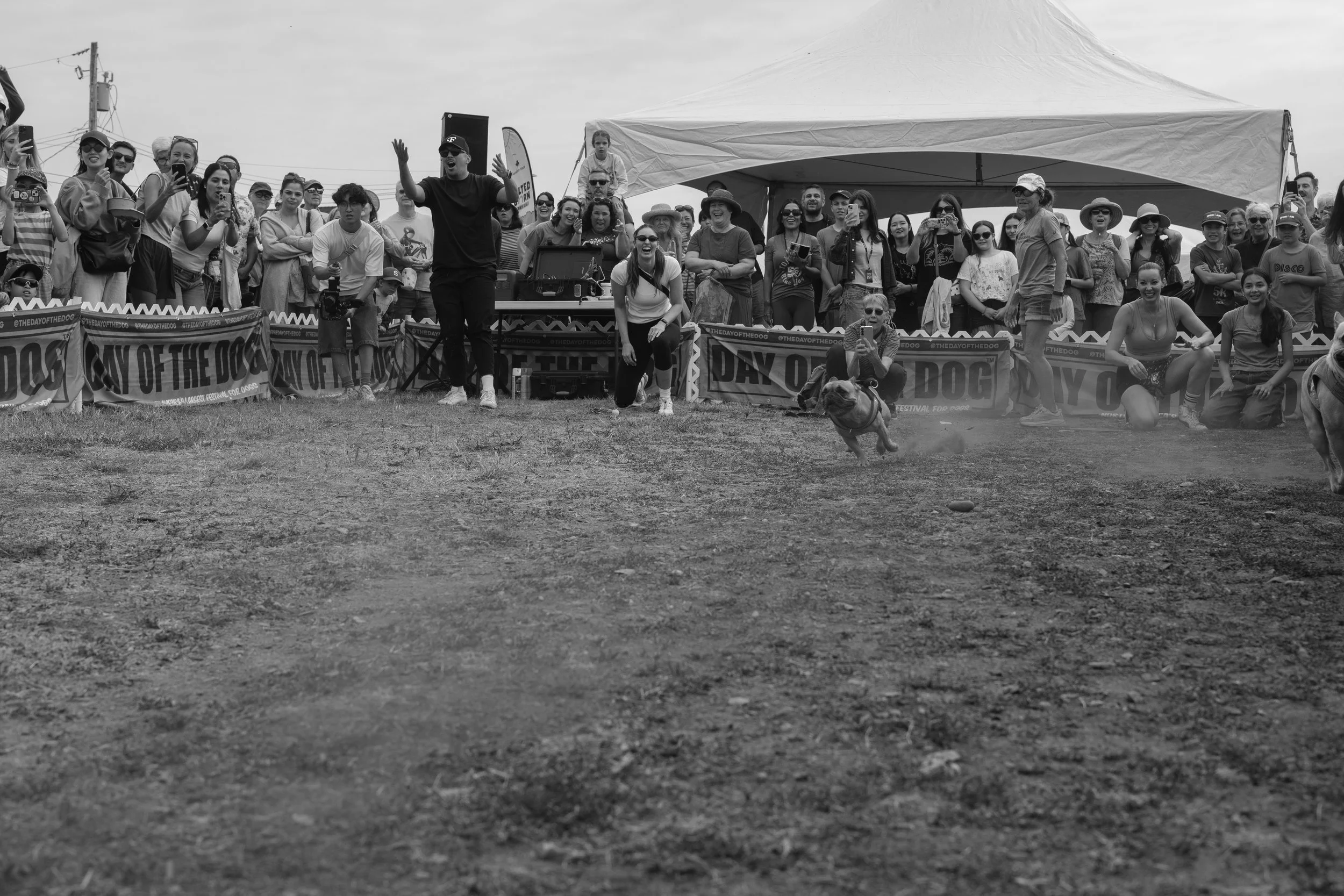 20260816-DSCF3352.JPG