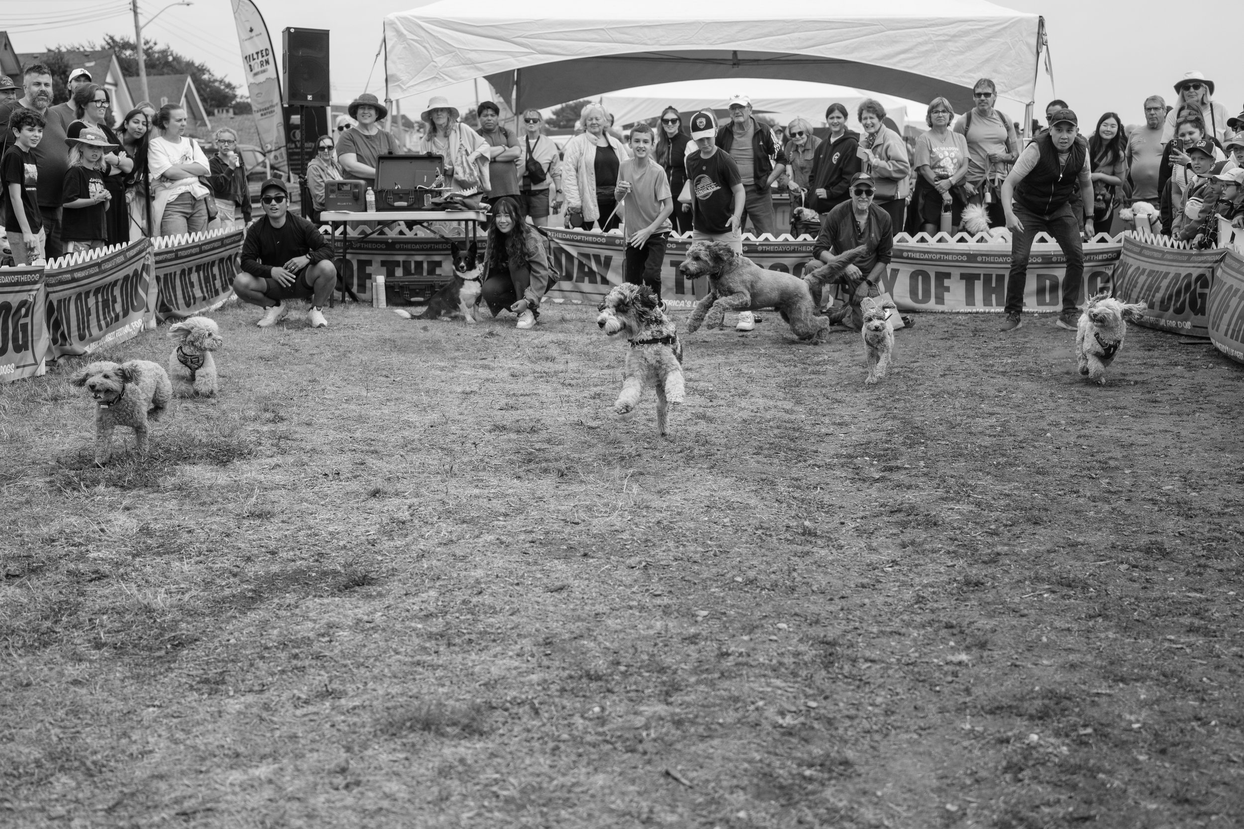 20260816-DSCF3405.JPG
