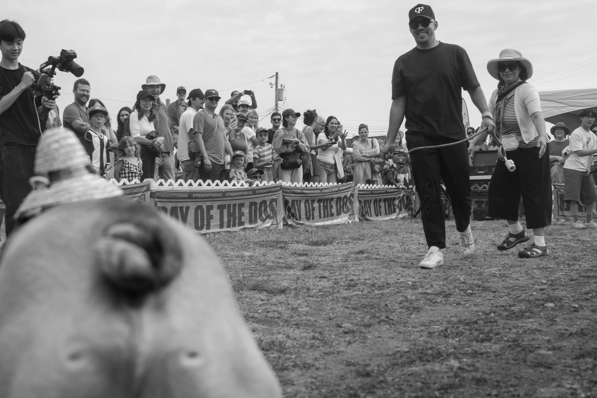 DAY OF THE DOG
