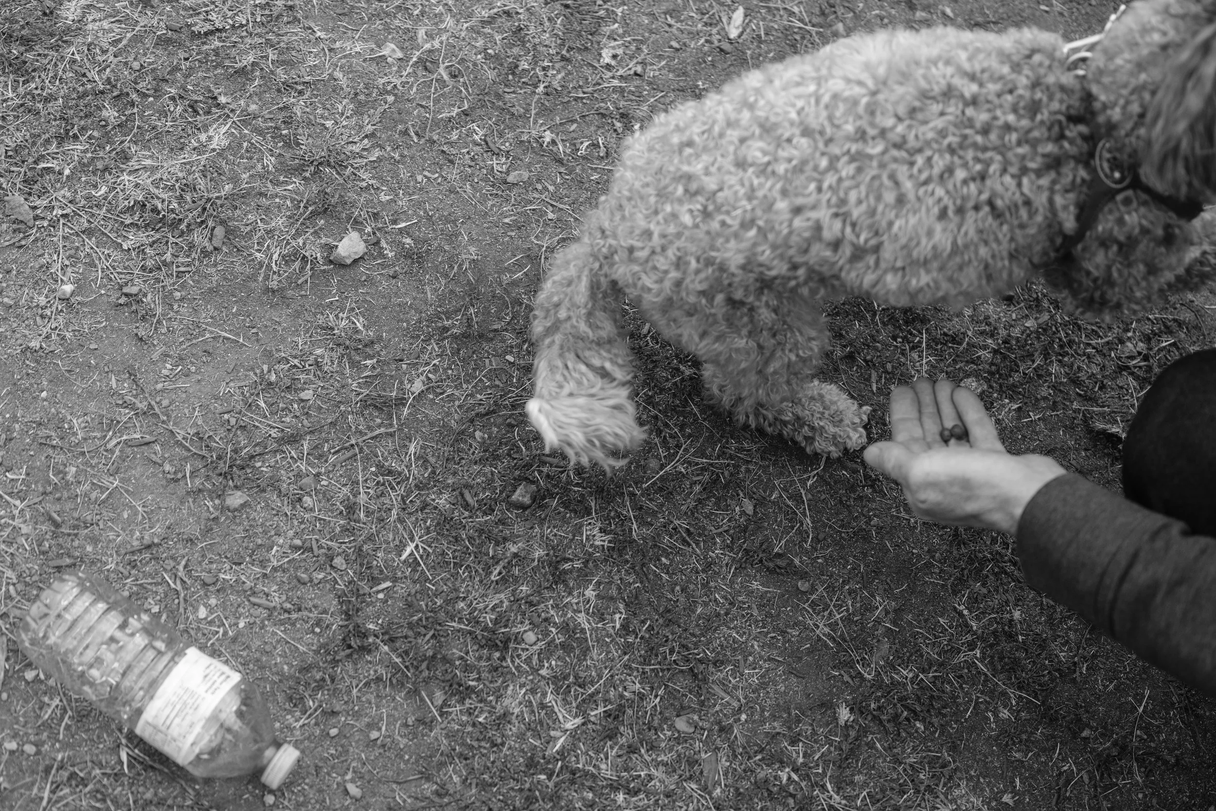20260816-DSCF3407.JPG