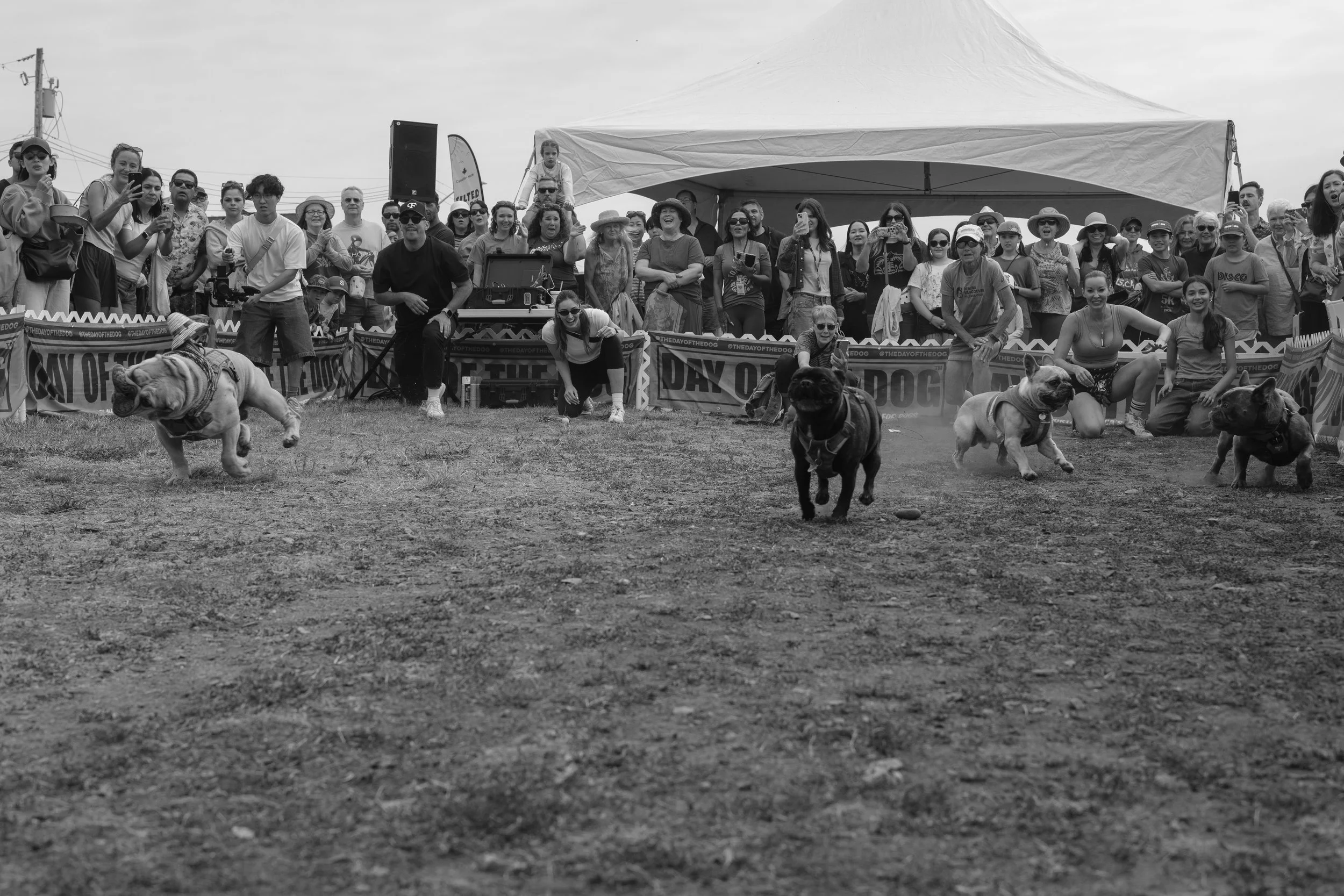 20260816-DSCF3351.JPG