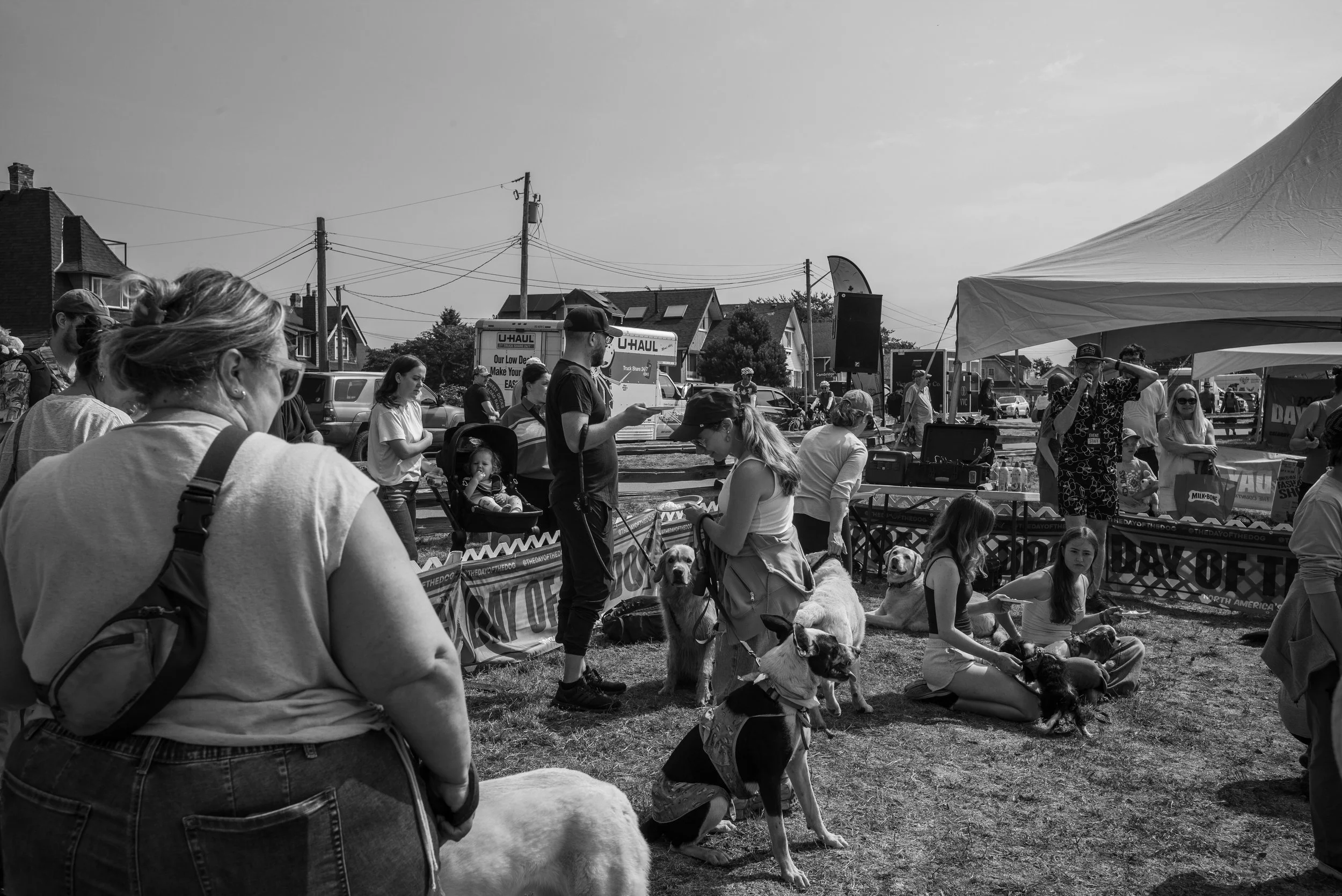 20260816-L1002185.JPG