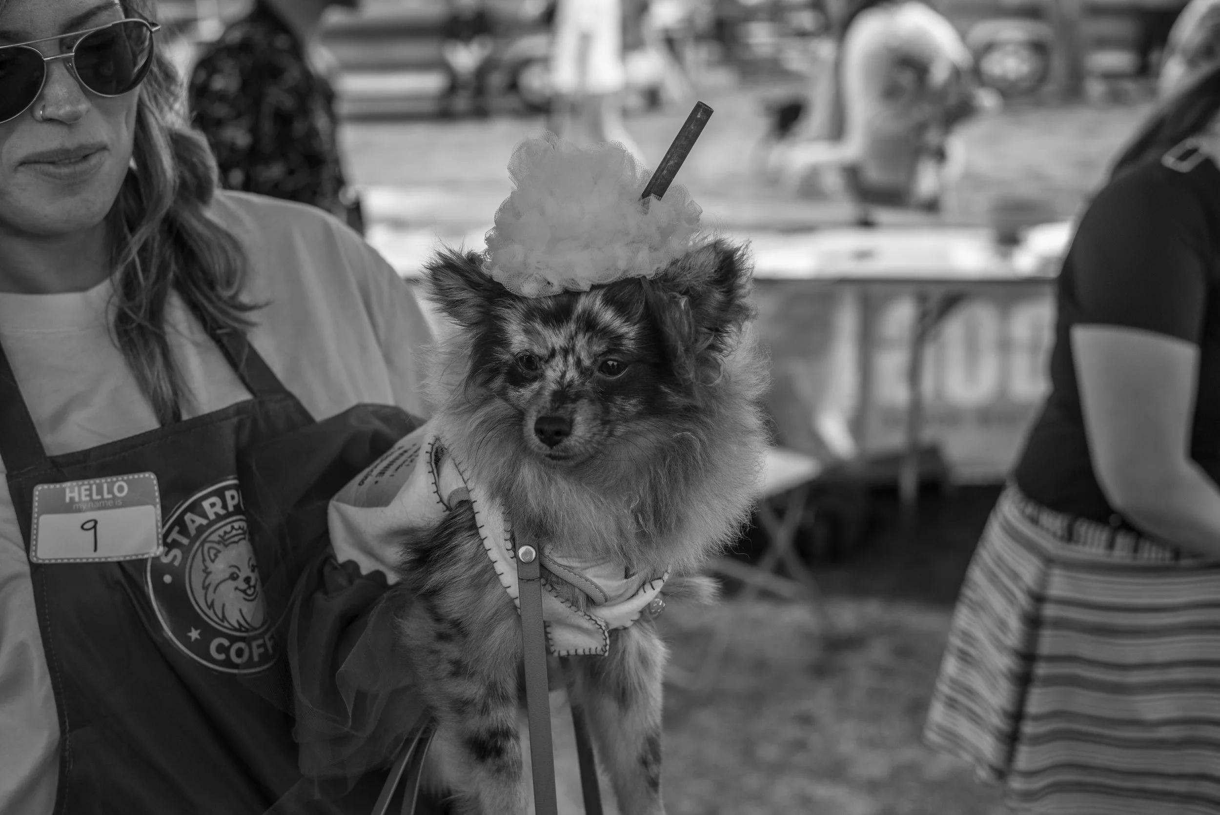 20260816-L1002394.JPG