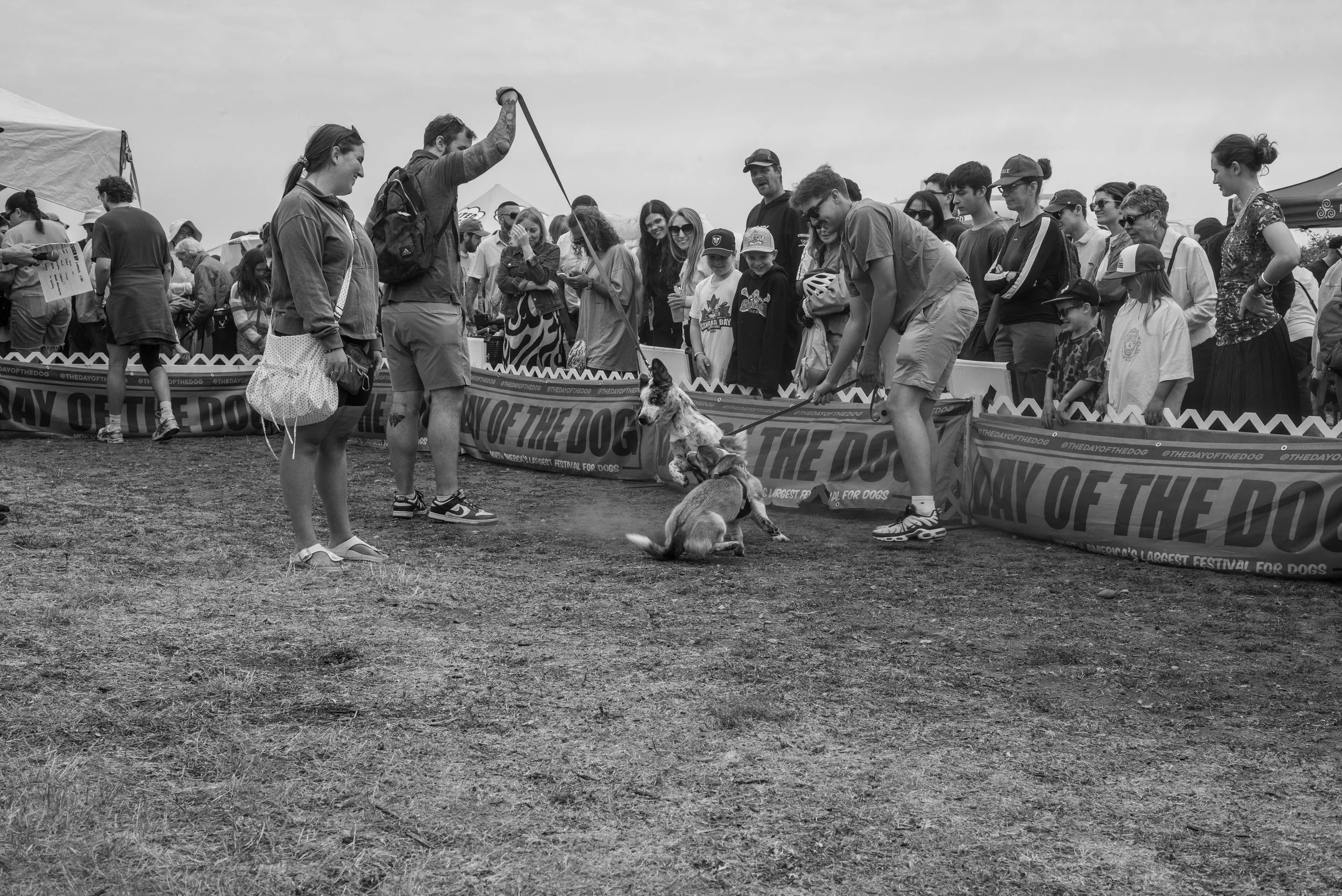 20260816-L1002336.JPG