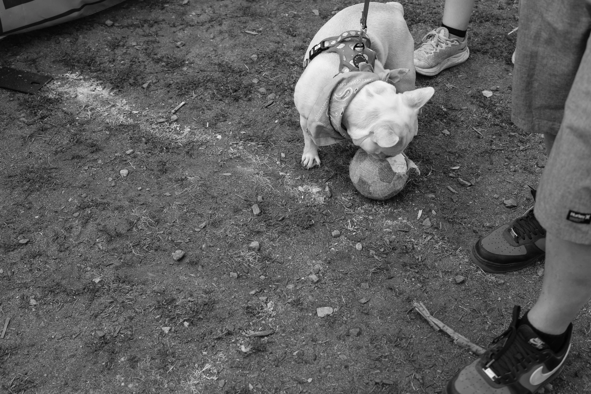 20260816-DSCF3342.JPG