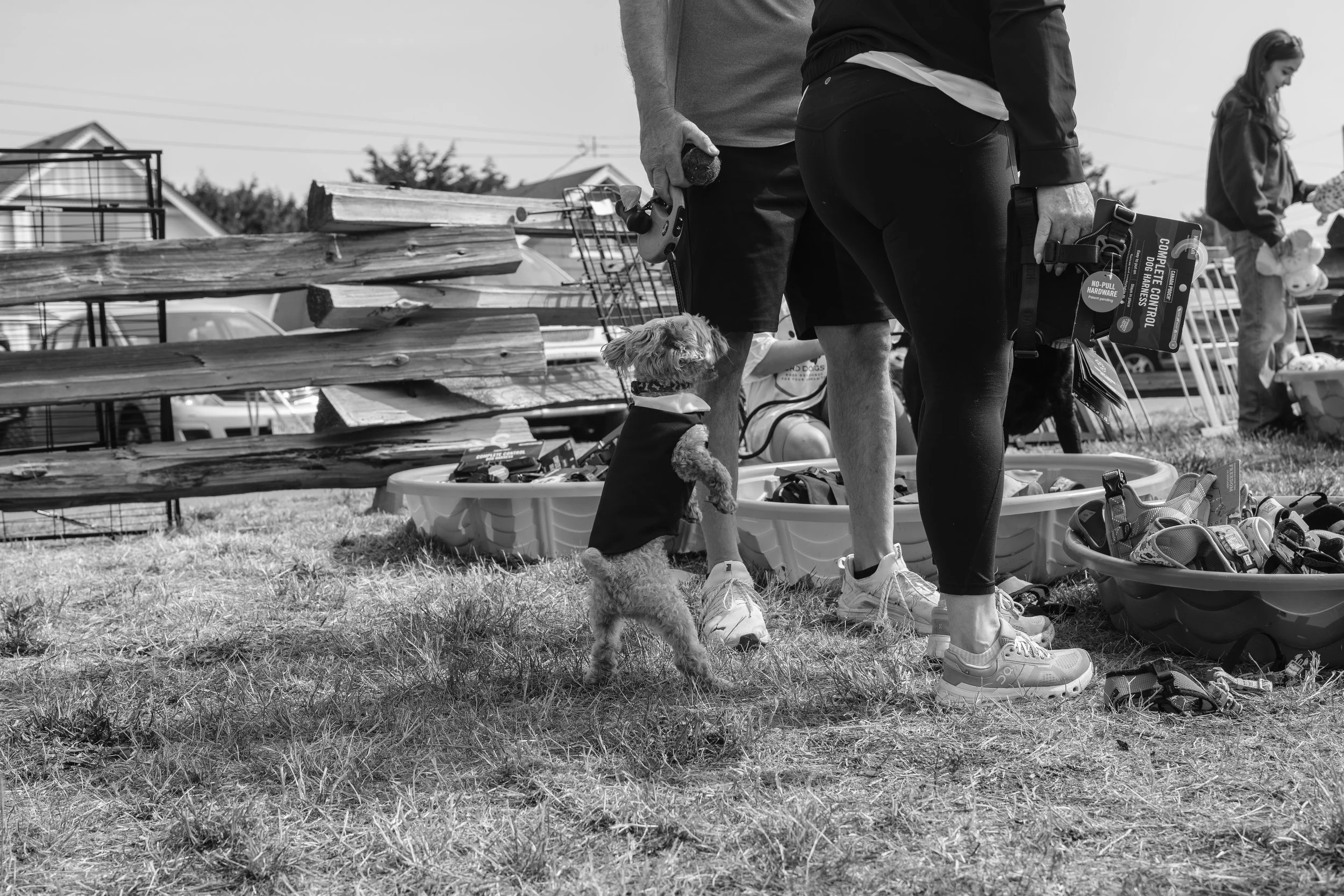 20260816-DSCF3318.JPG