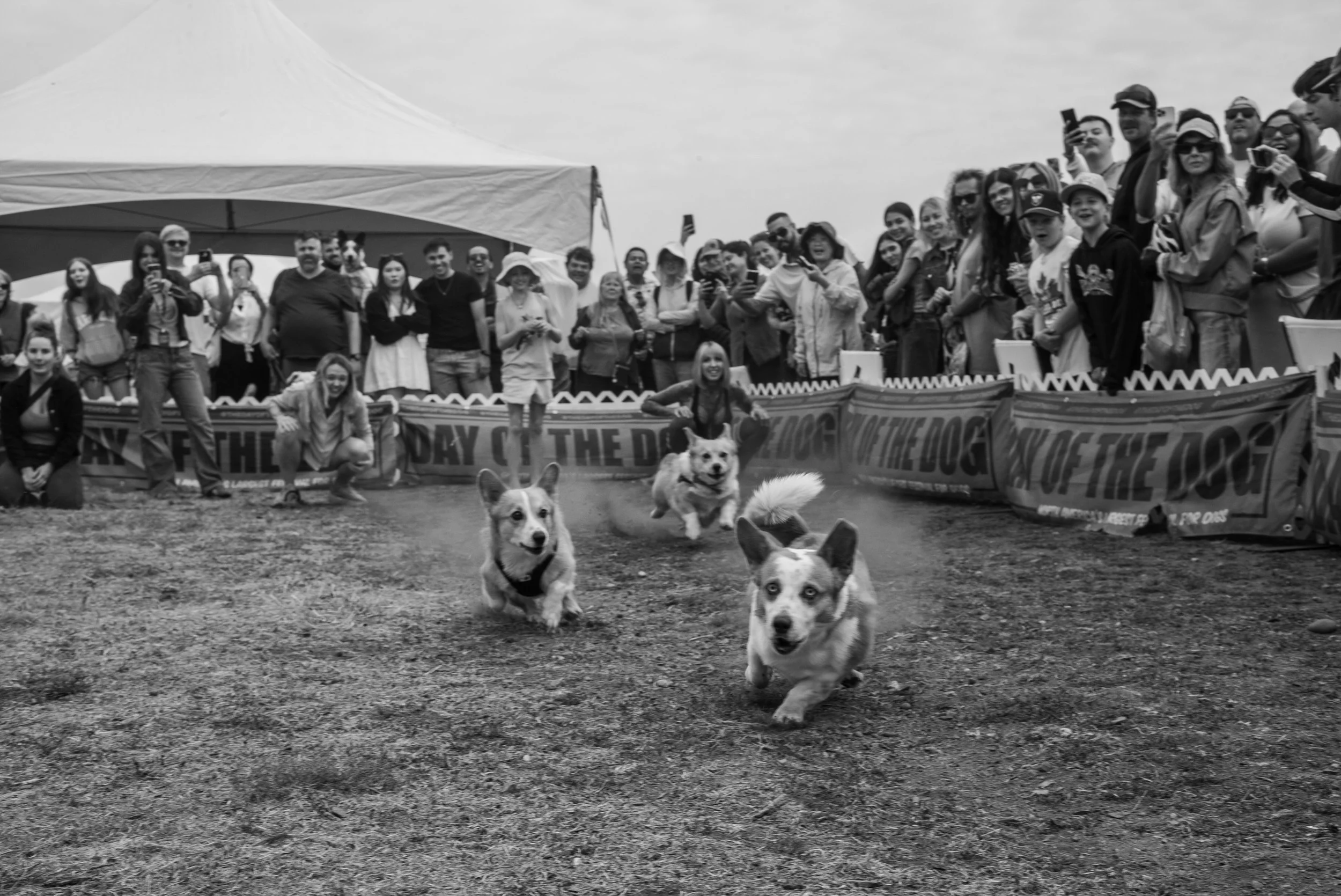 20260816-L1002342.JPG