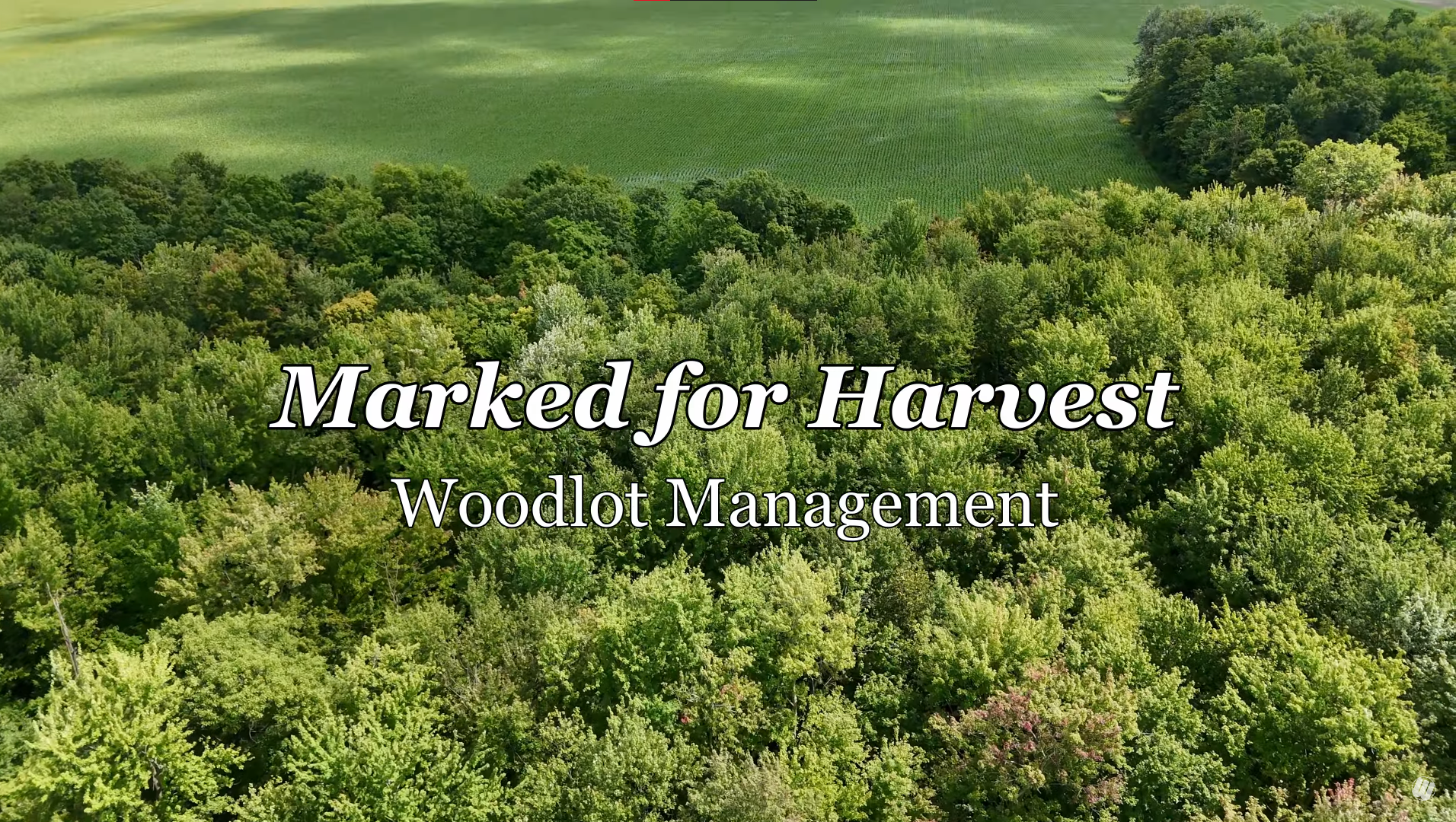 Screenshot 2024-11-13 162959.png