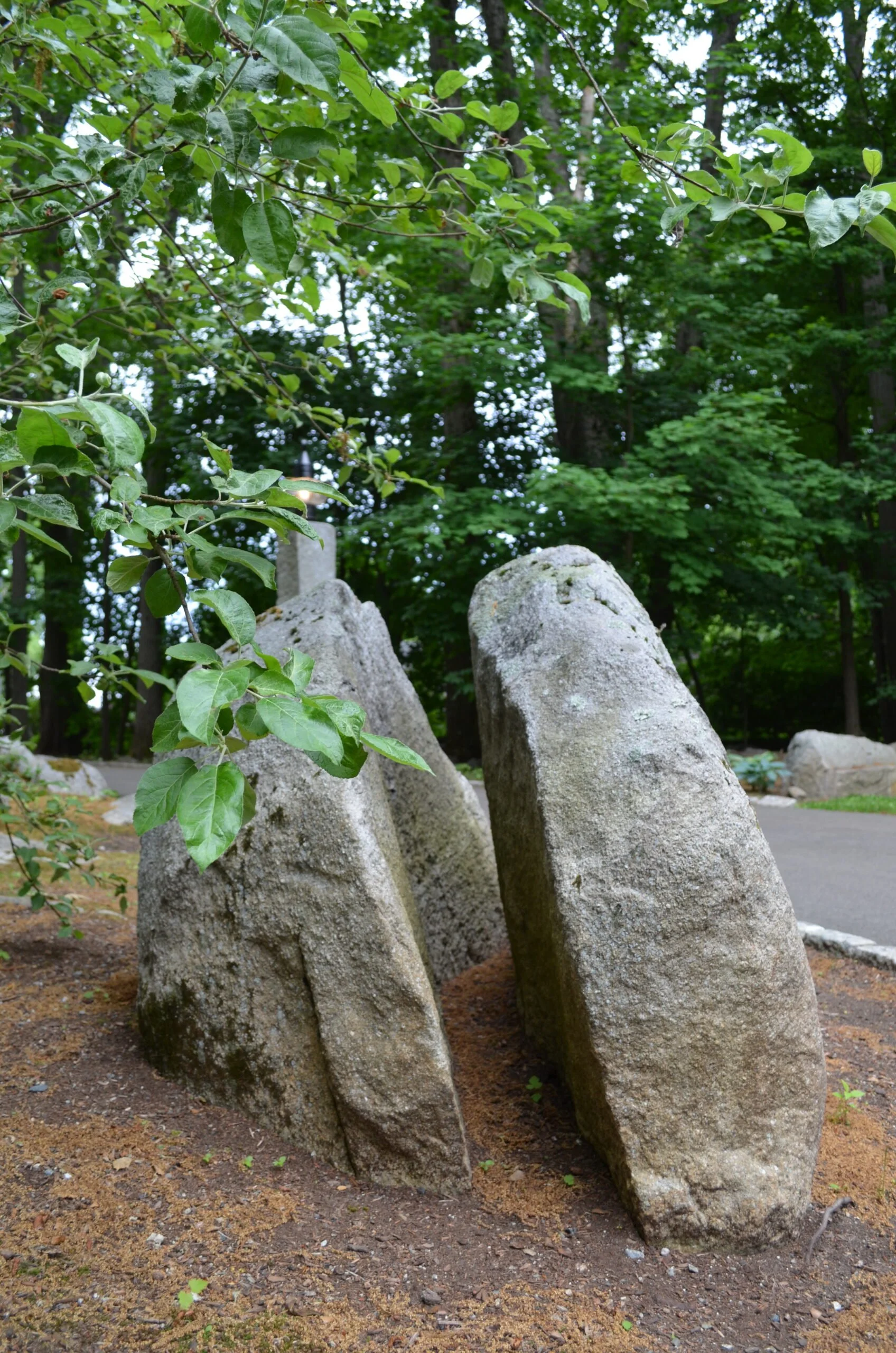 DSC_1154-scaled.jpg