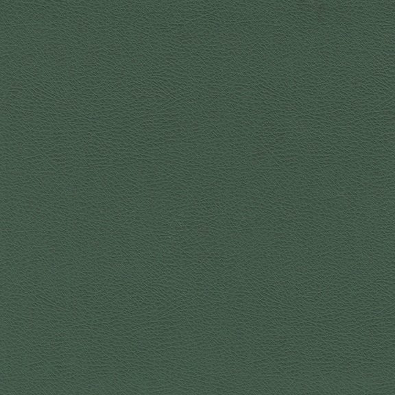 4244-12.jpg