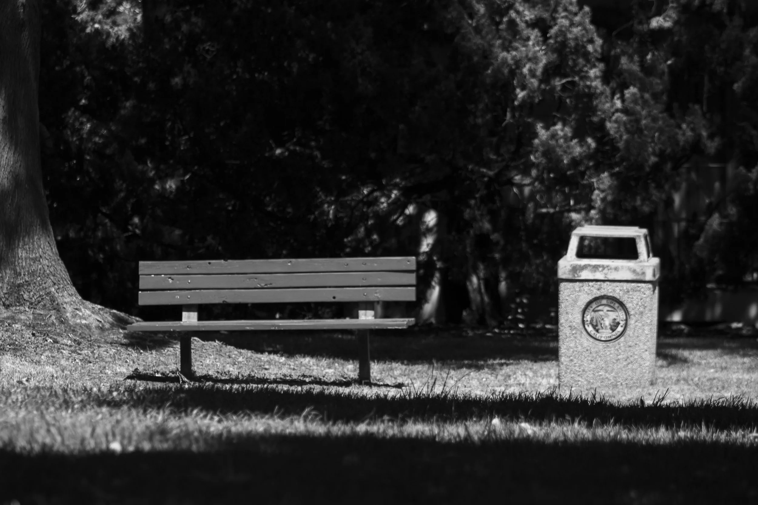 Benched, Euclid Ave. 
Upland, CA