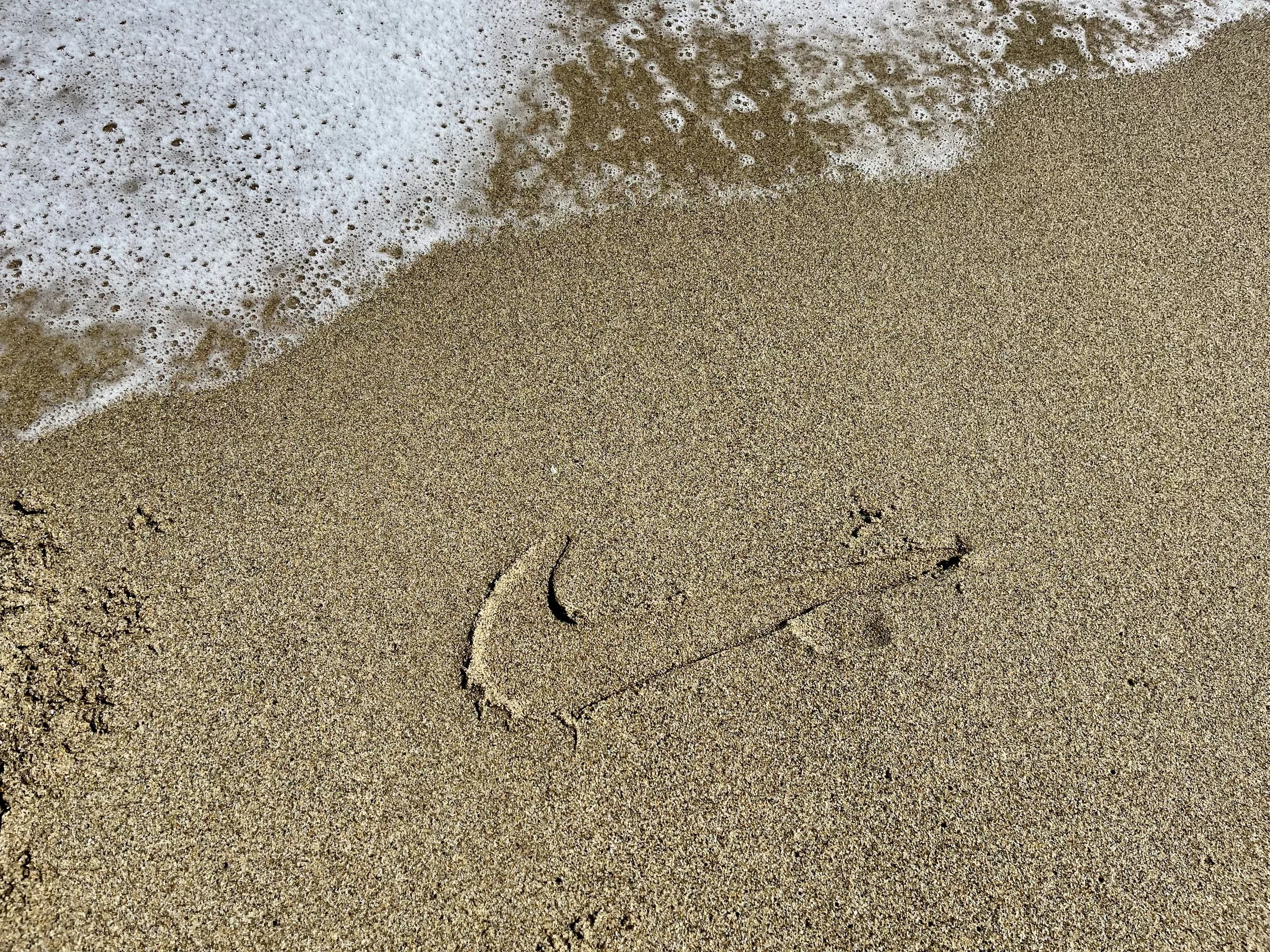 Photo of Nike's footprint on the shore