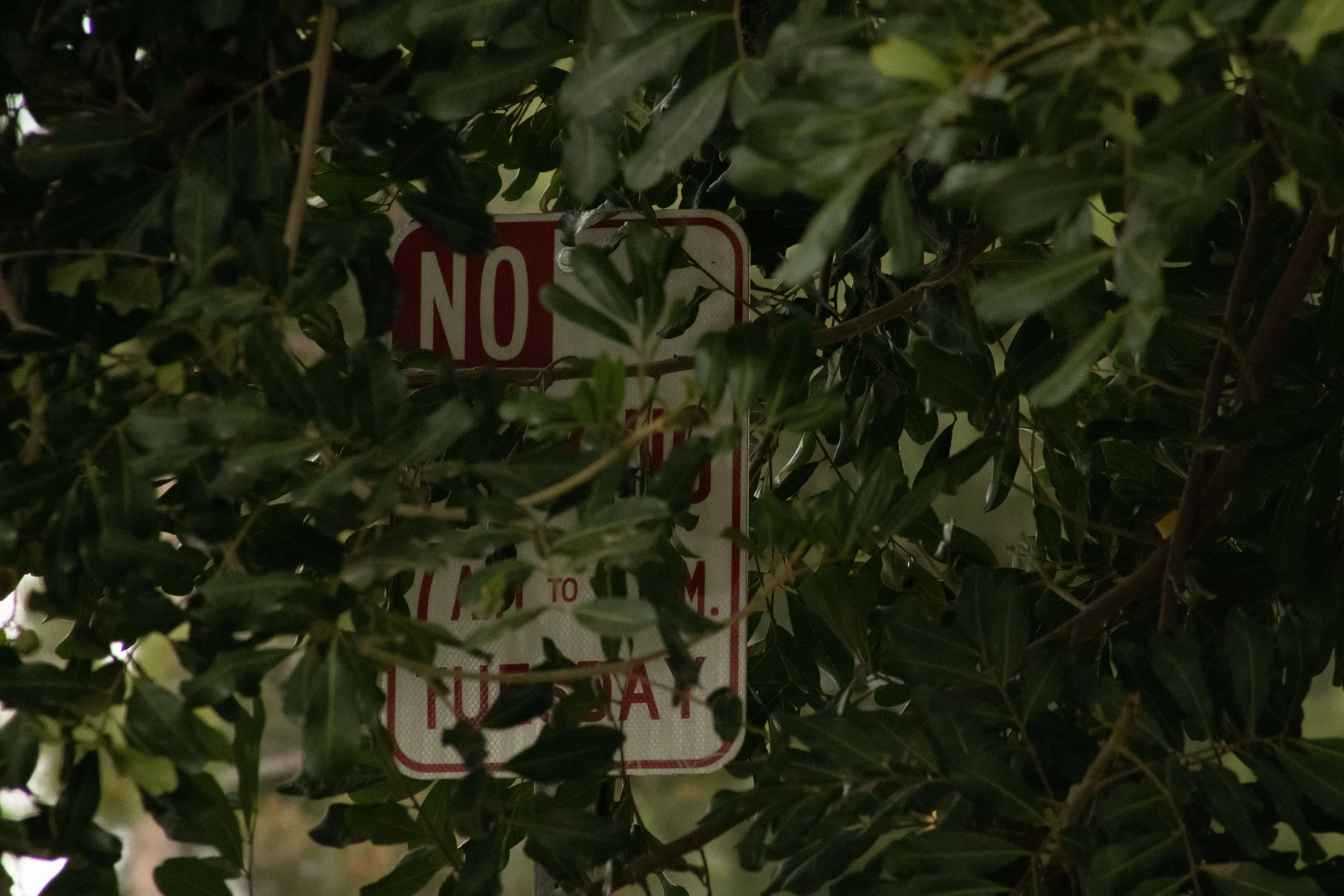 No parking Tuesday