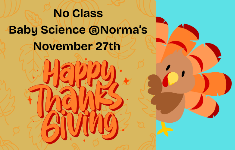 Baby Science Club at Norma’s Wappingers NO BABY SCIENCE TODAY - Happy Thanksgiving