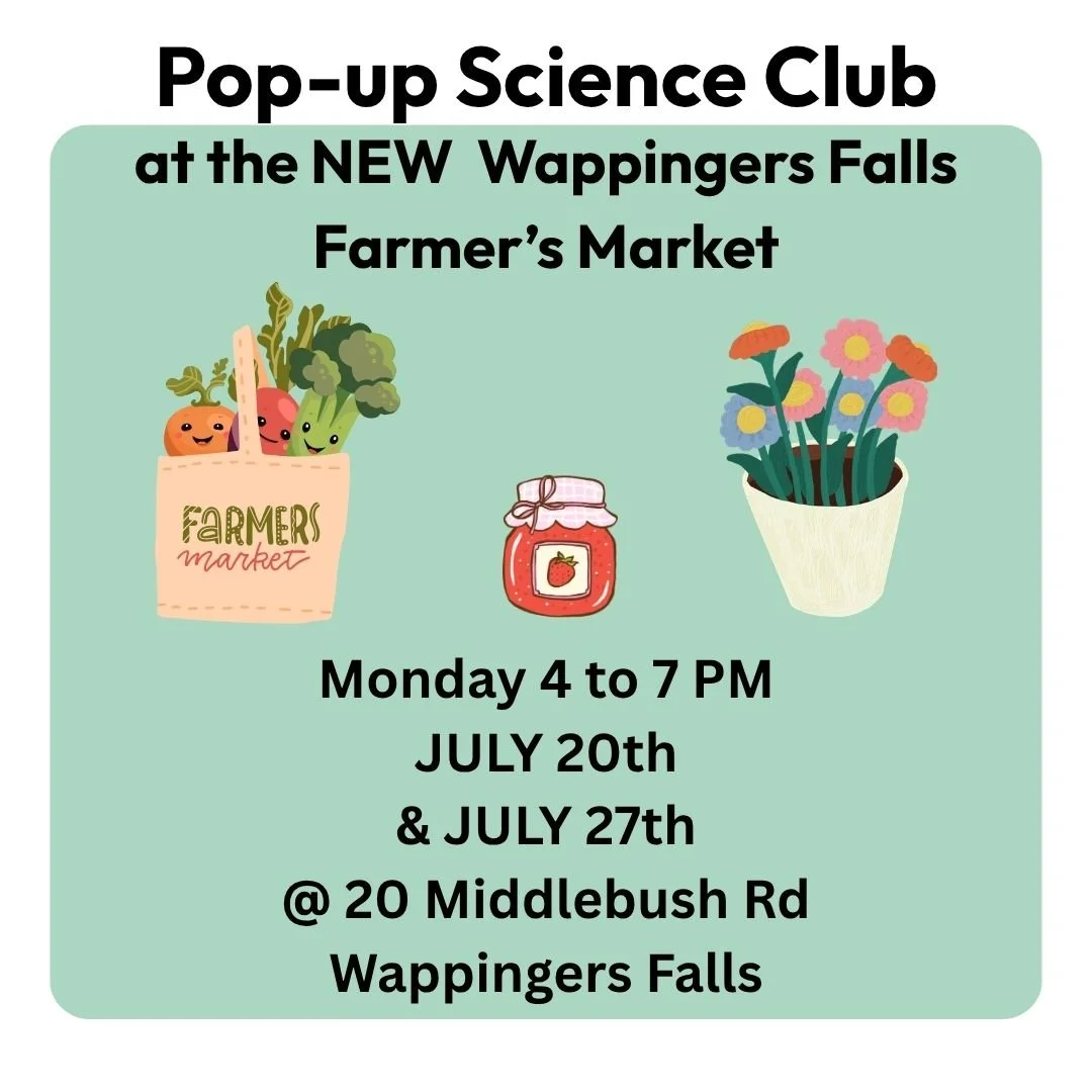 Pop-up Science Club - Wappingers Farmers Market - July 20