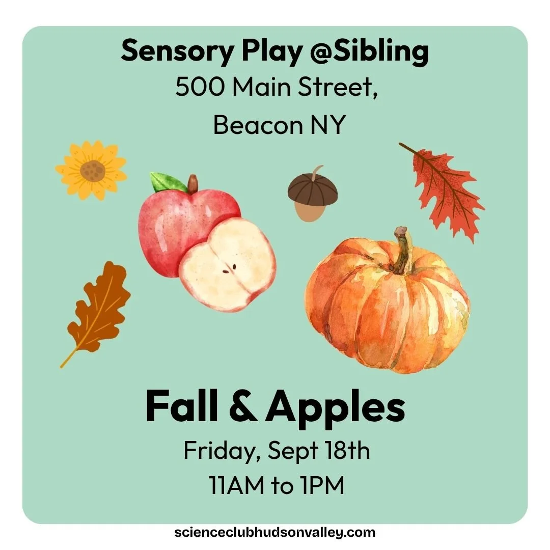 Baby Science Sensory Play @ Sibling in Beacon - Sept 18