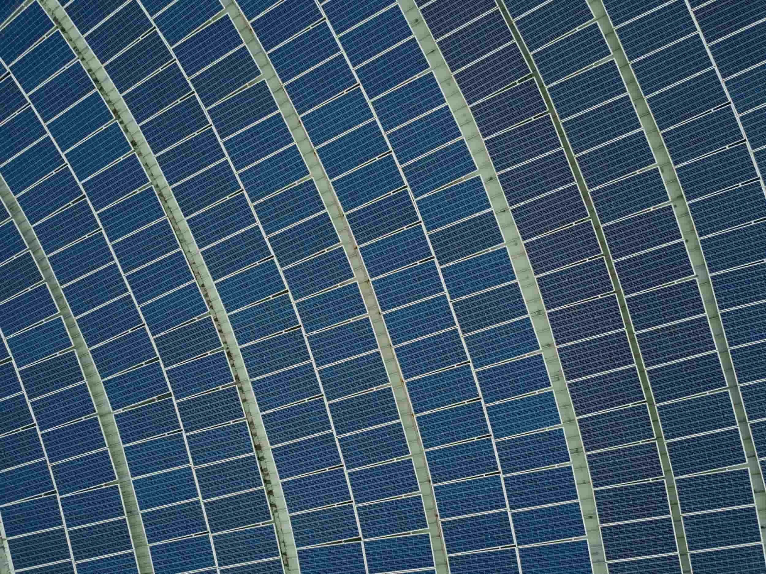 Aerial view of rows of solar panels arranged in curved lines, capturing sunlight for renewable energy.